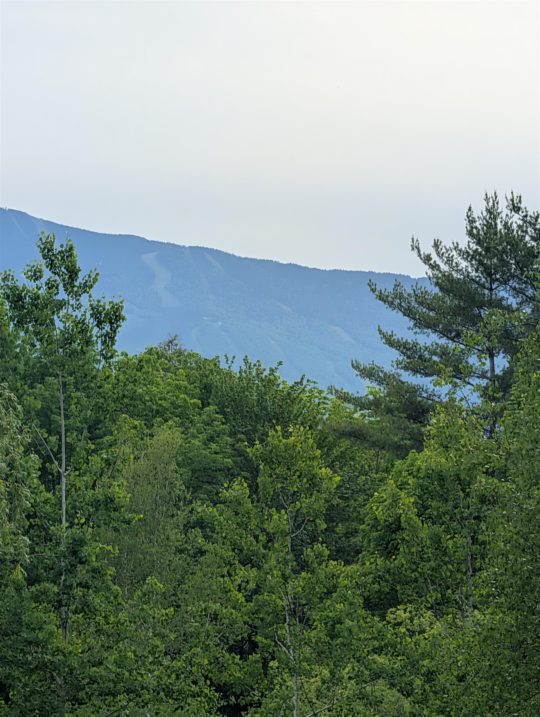 99 Bushnell Road