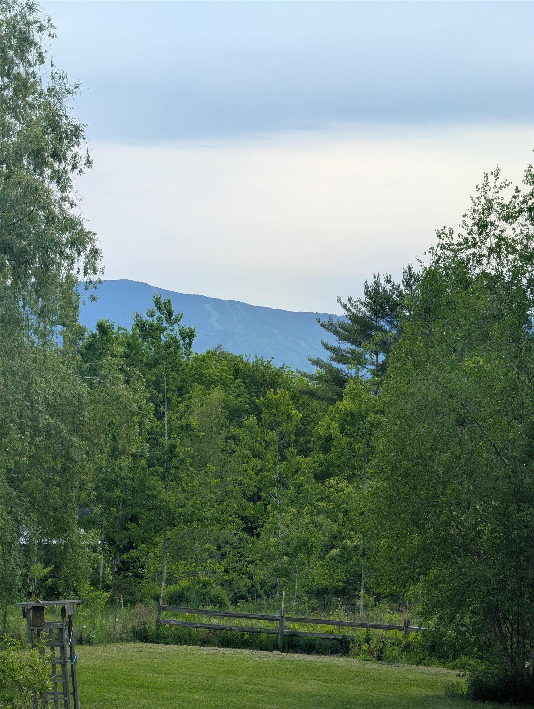 99 Bushnell Road