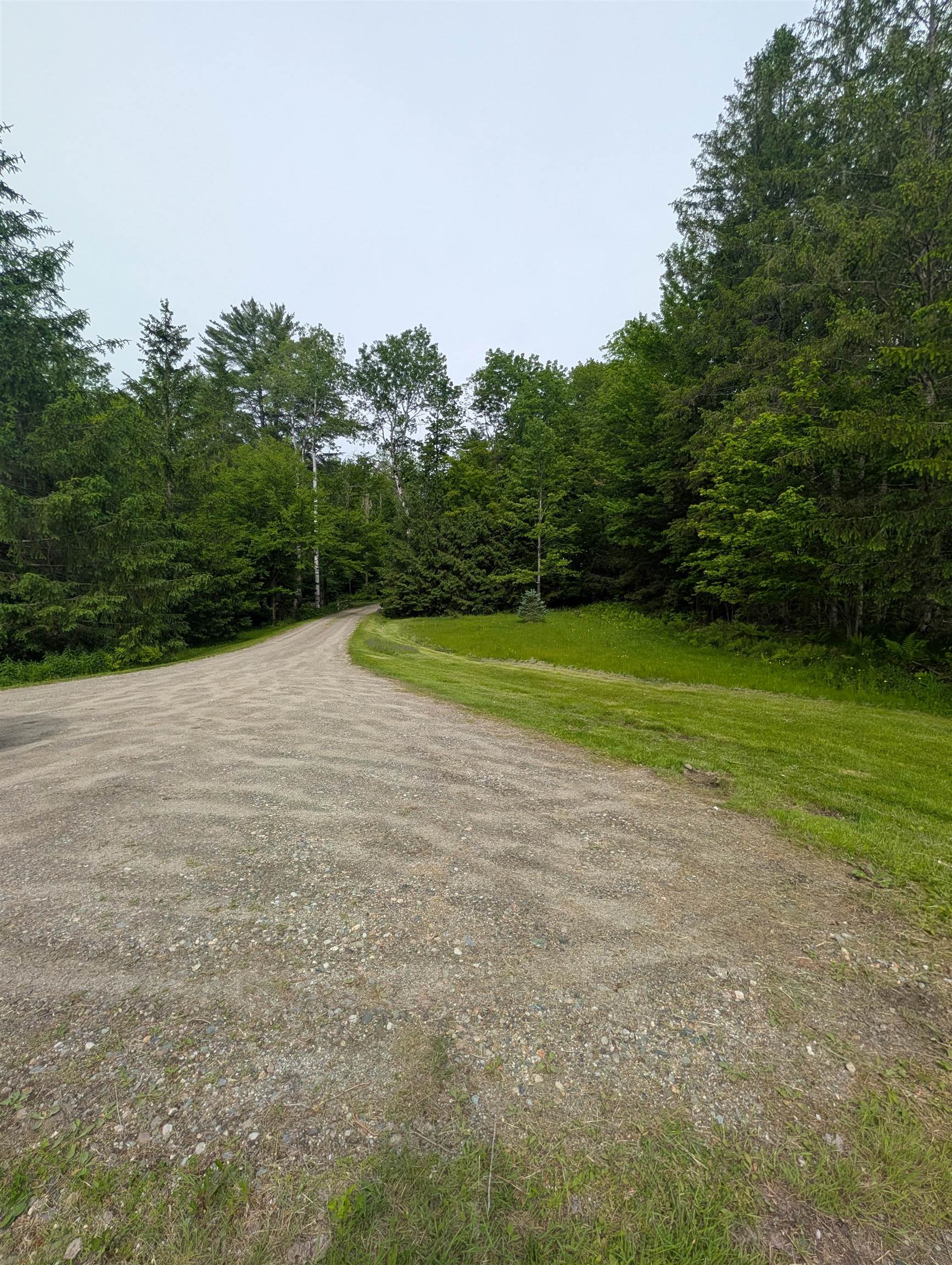99 Bushnell Road