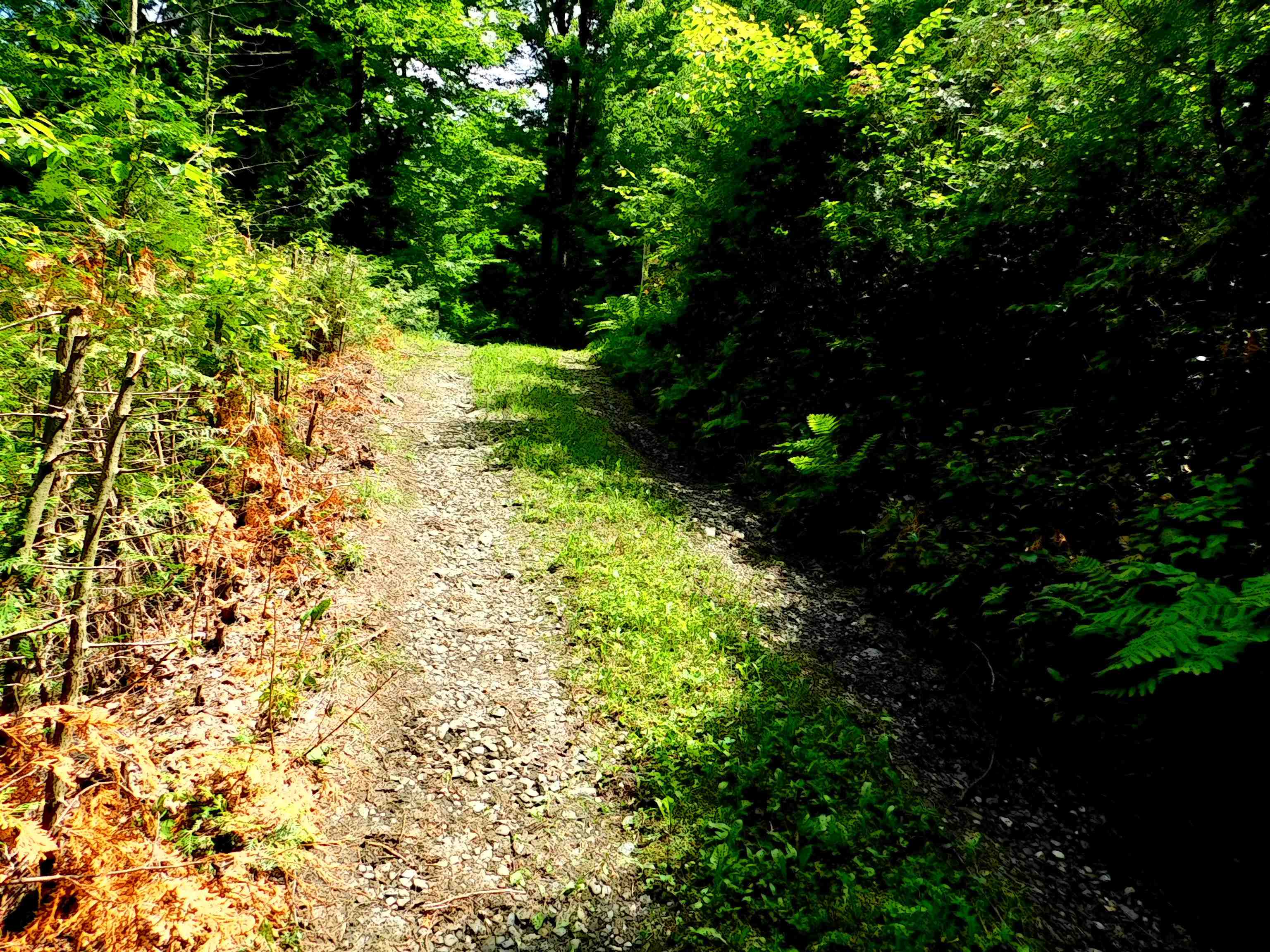 258 Loon Lake Road