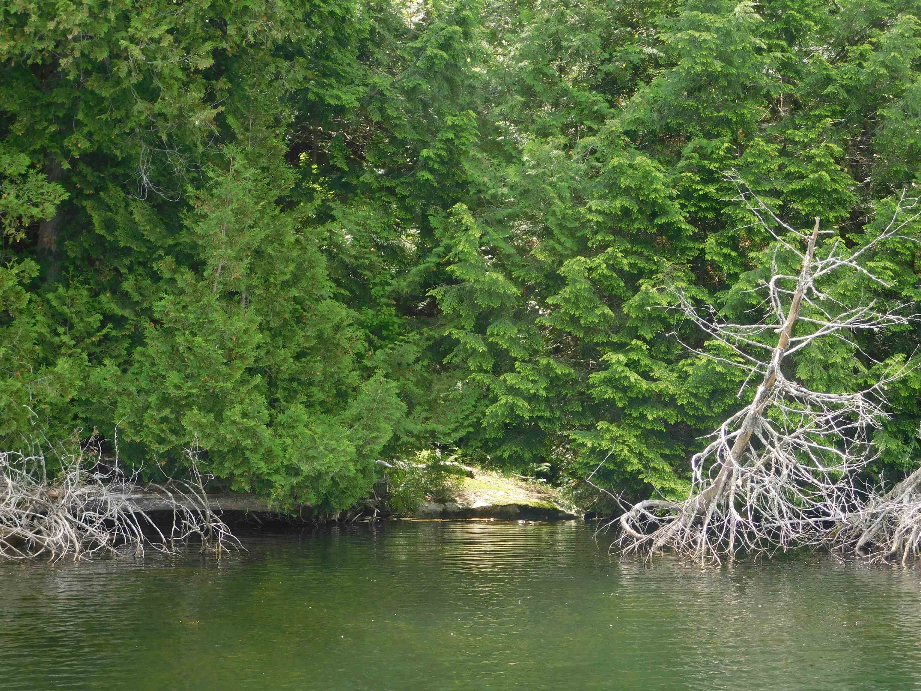 258 Loon Lake Road