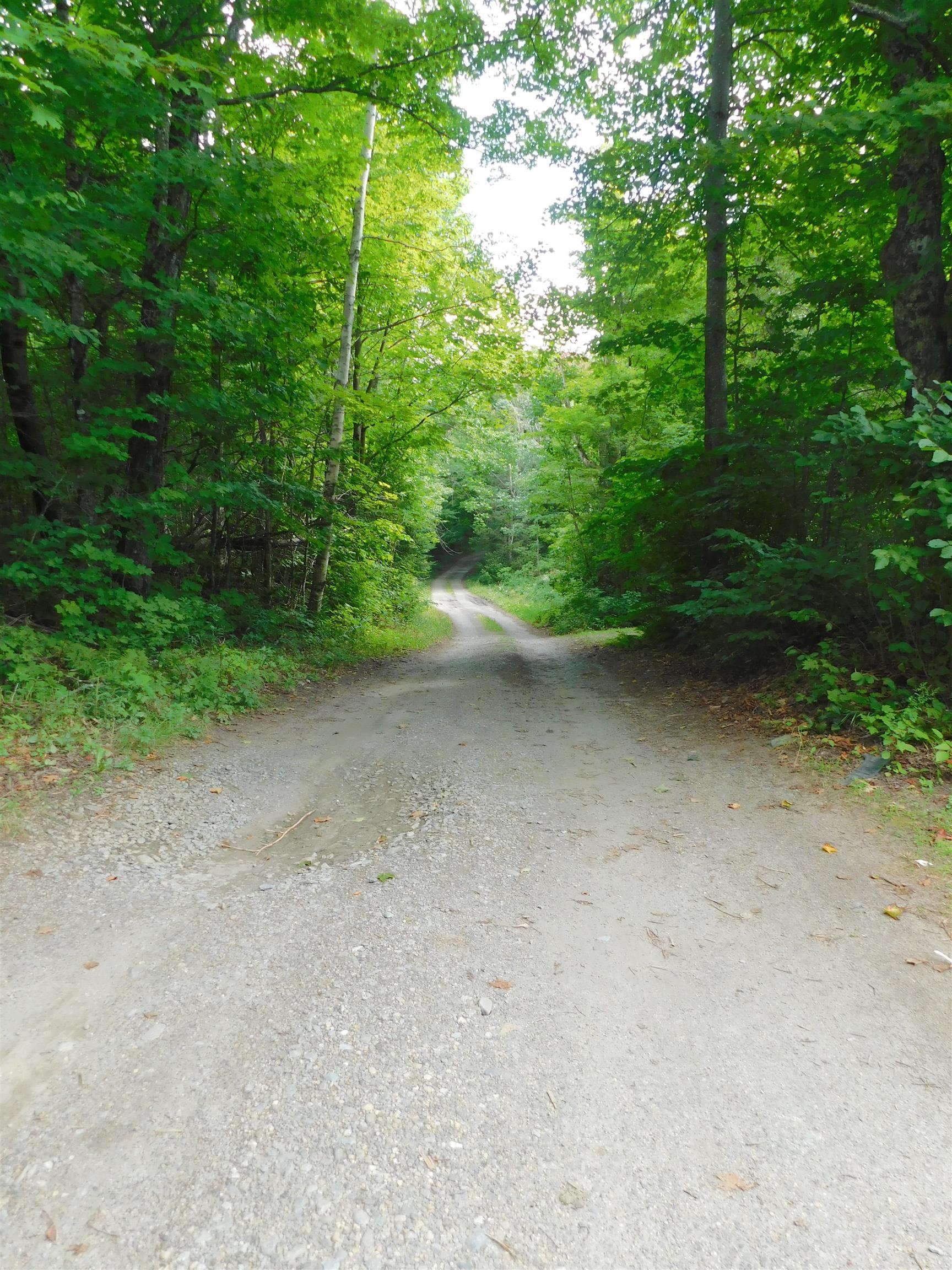142 Hines Place Trail