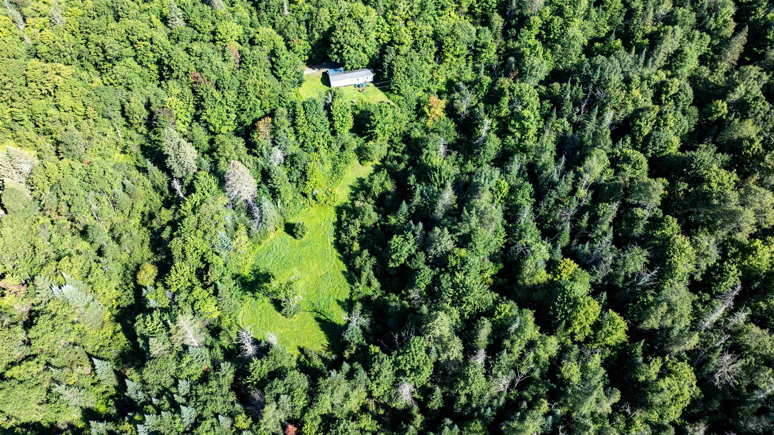142 Hines Place Trail