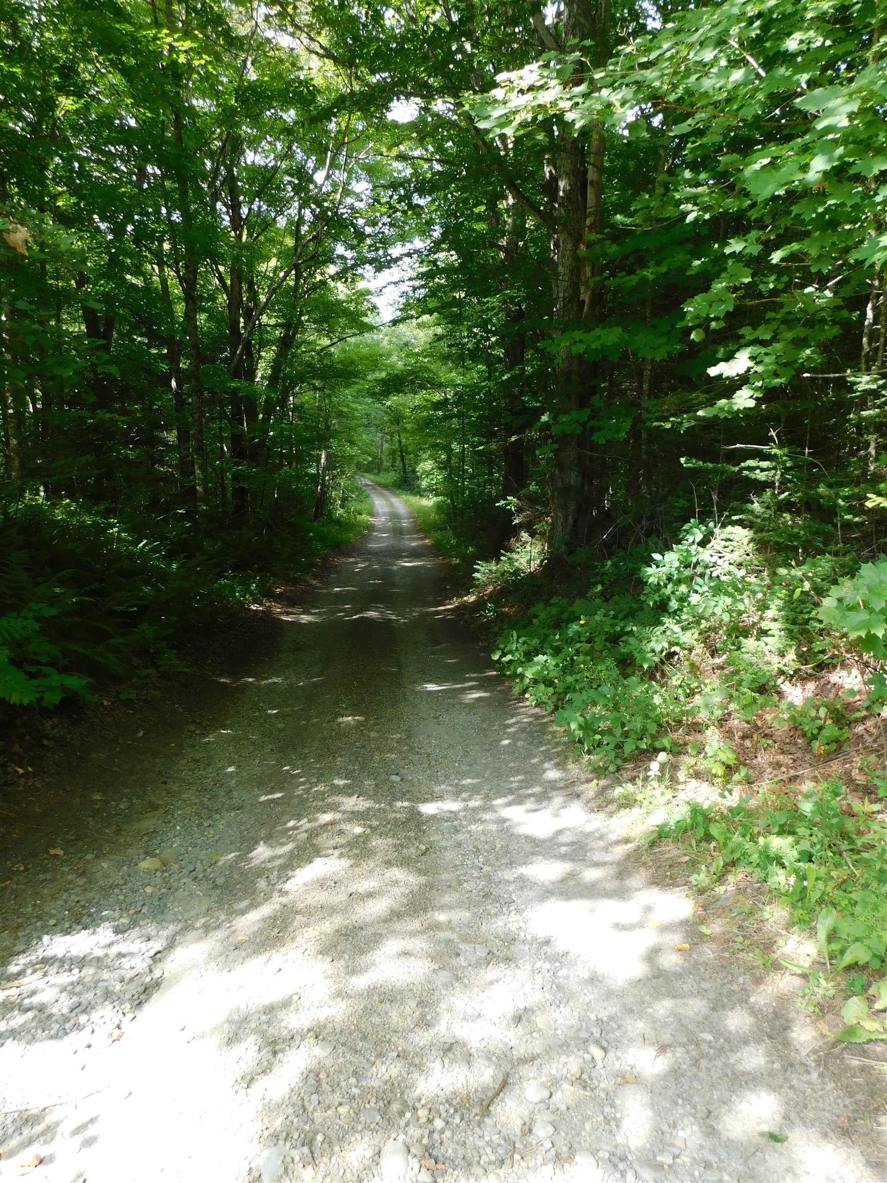 142 Hines Place Trail
