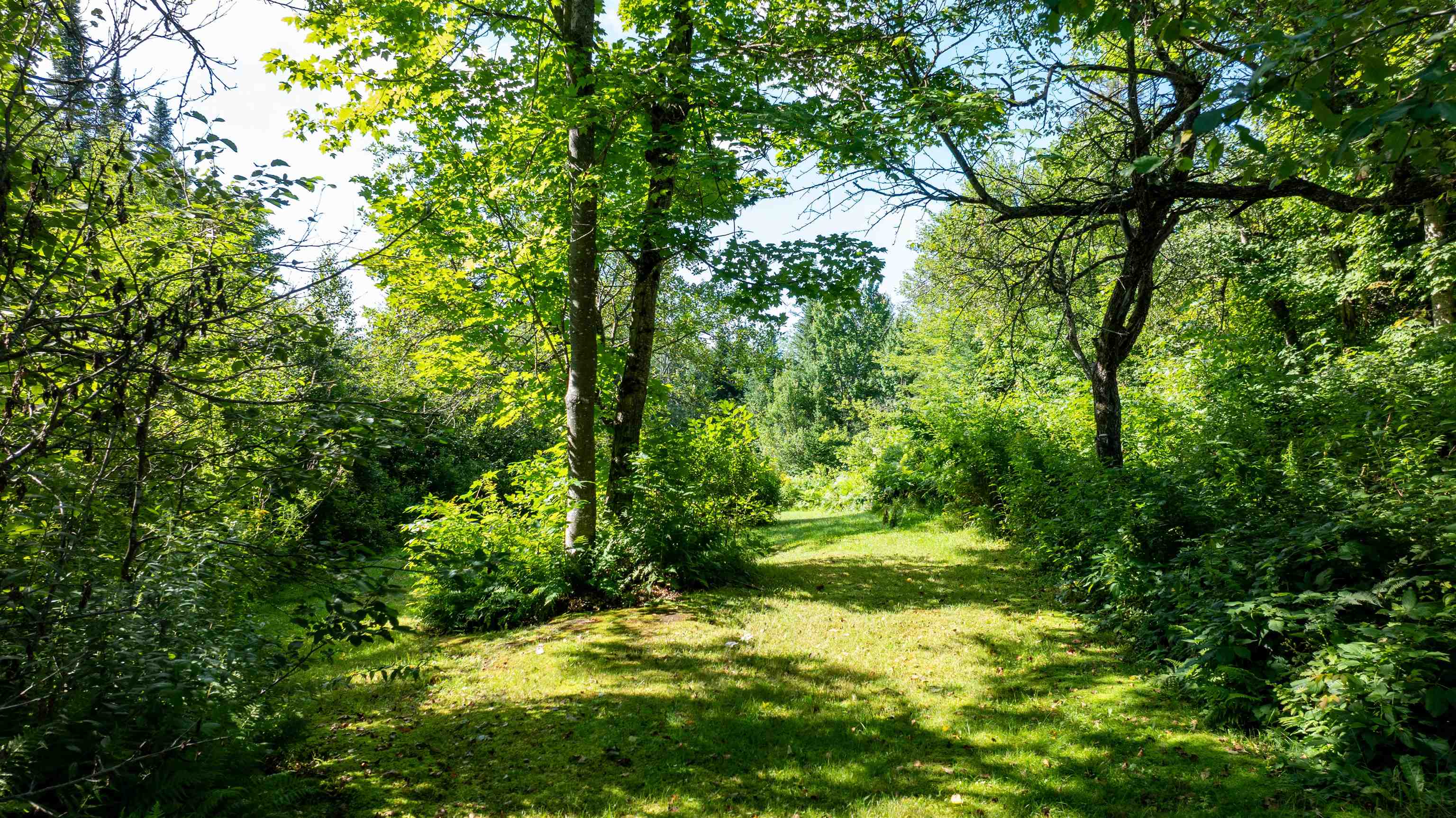 142 Hines Place Trail