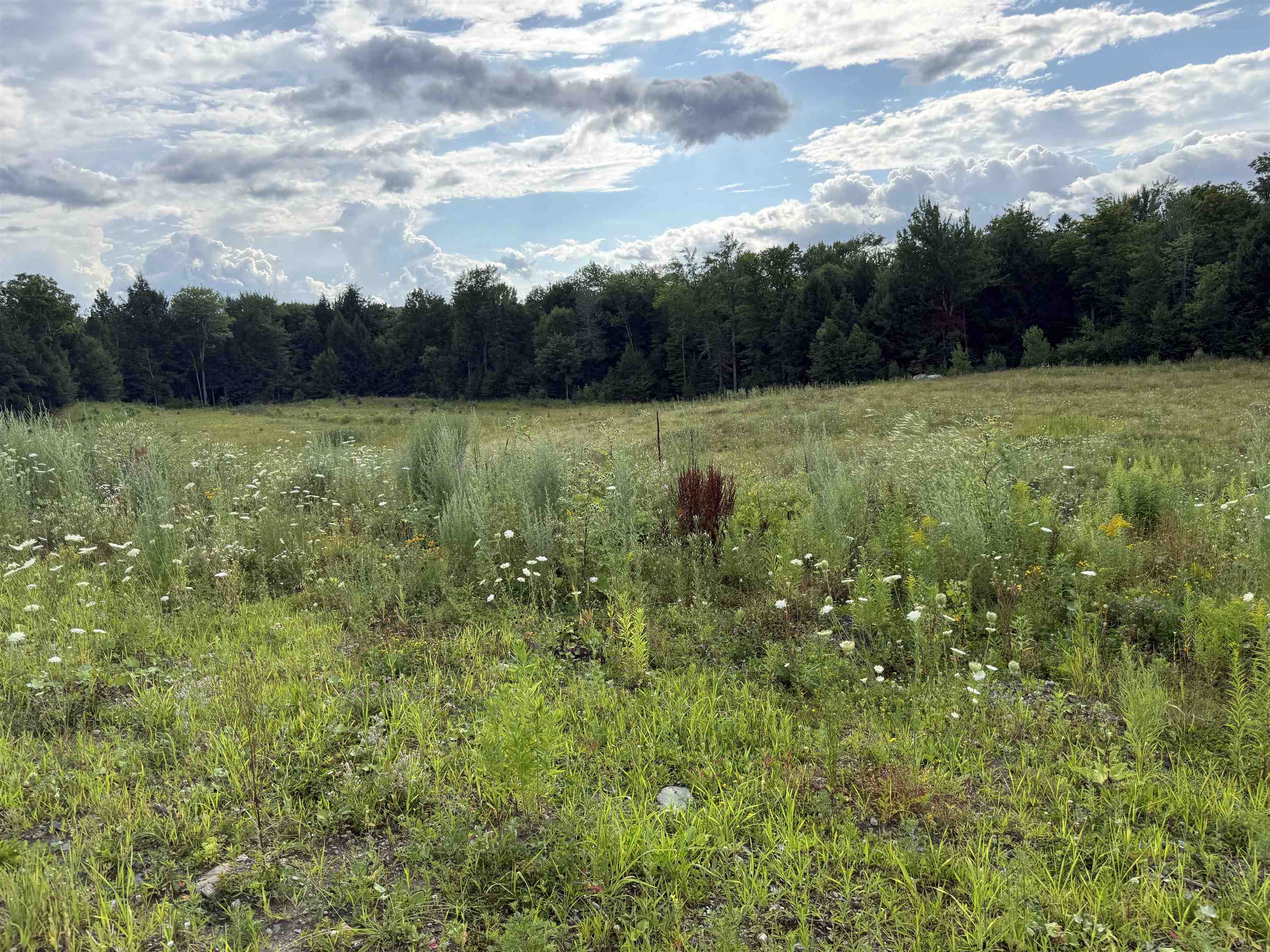 2 Dusty Swamp Road
