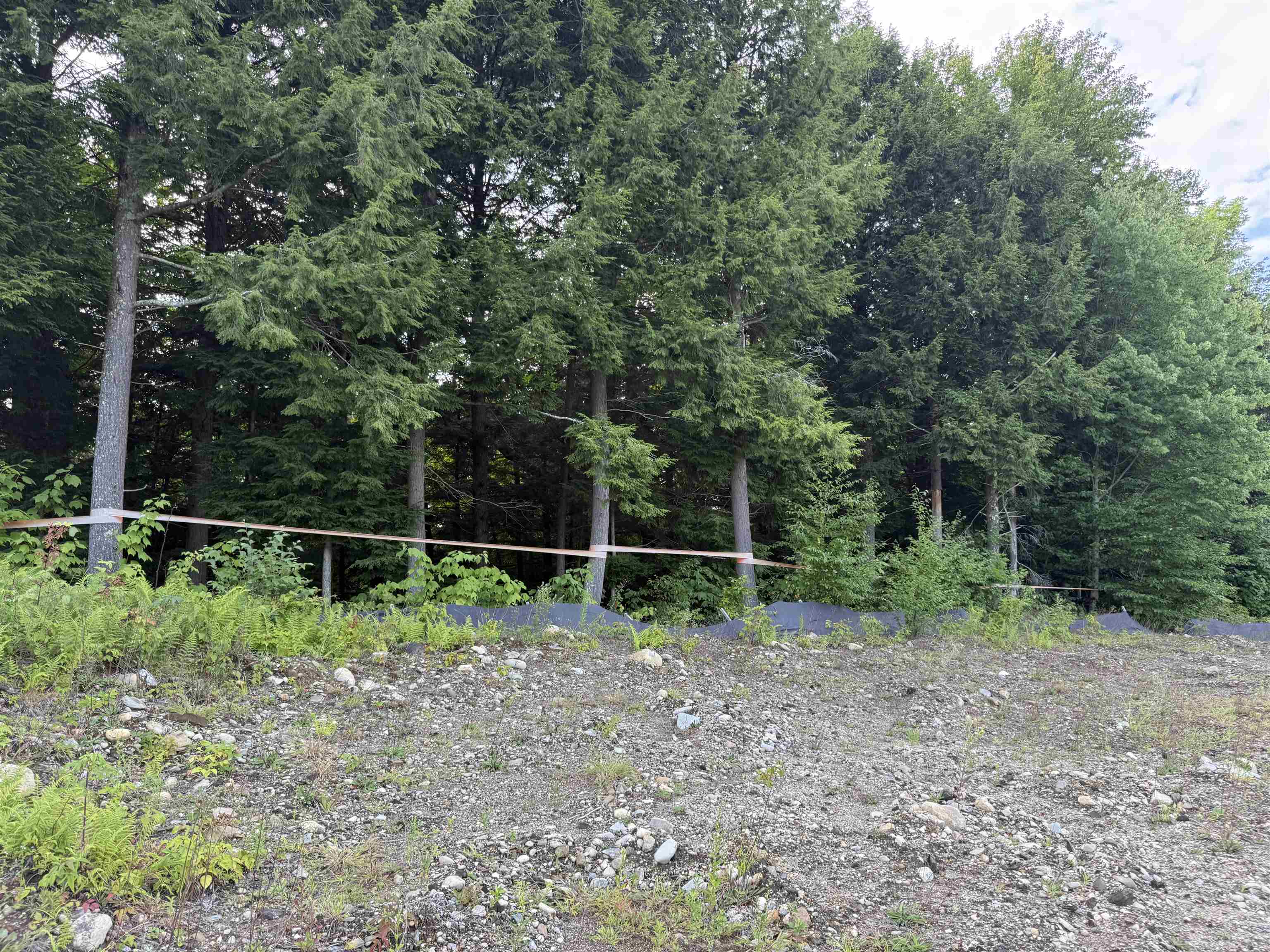 2 Dusty Swamp Road