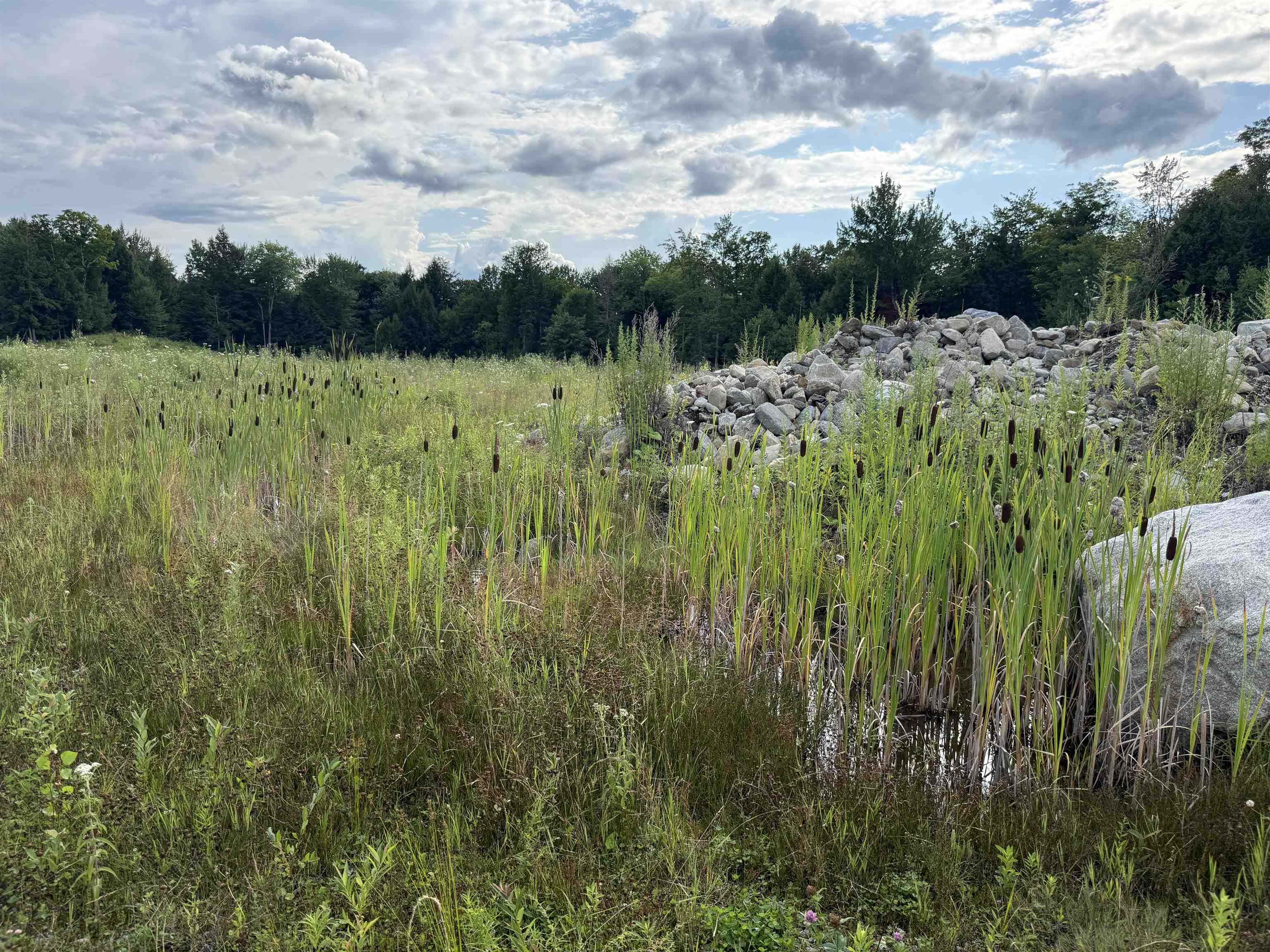 2 Dusty Swamp Road