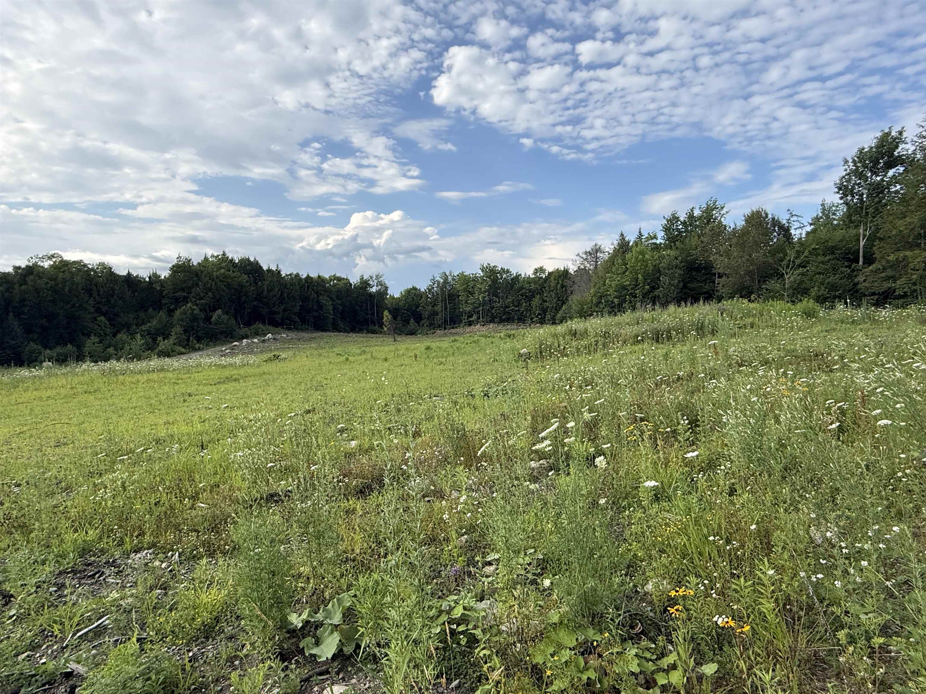 2 Dusty Swamp Road