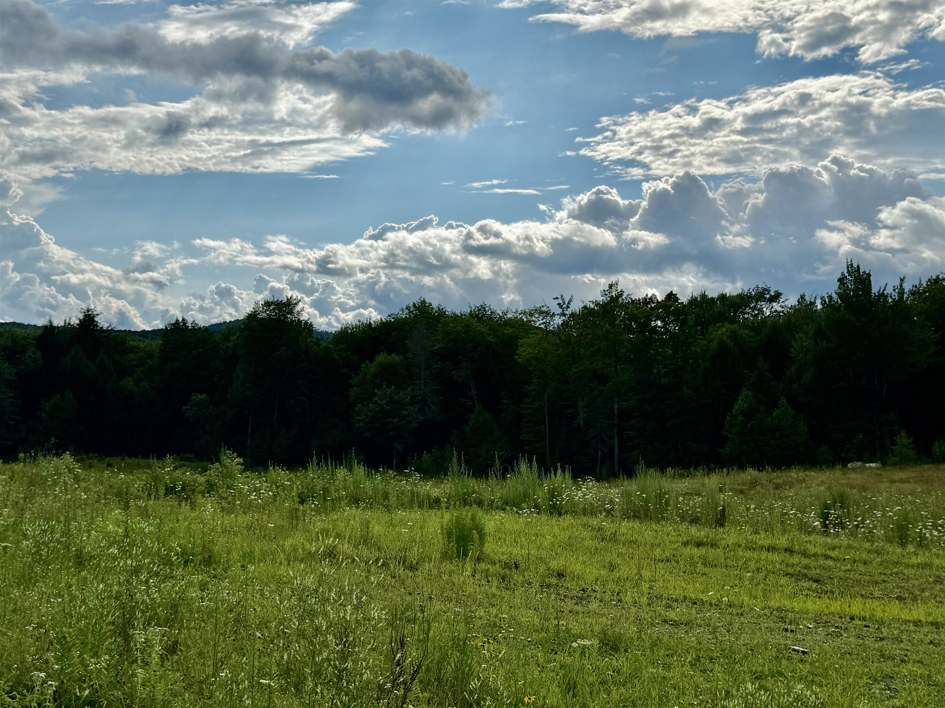 2 Dusty Swamp Road