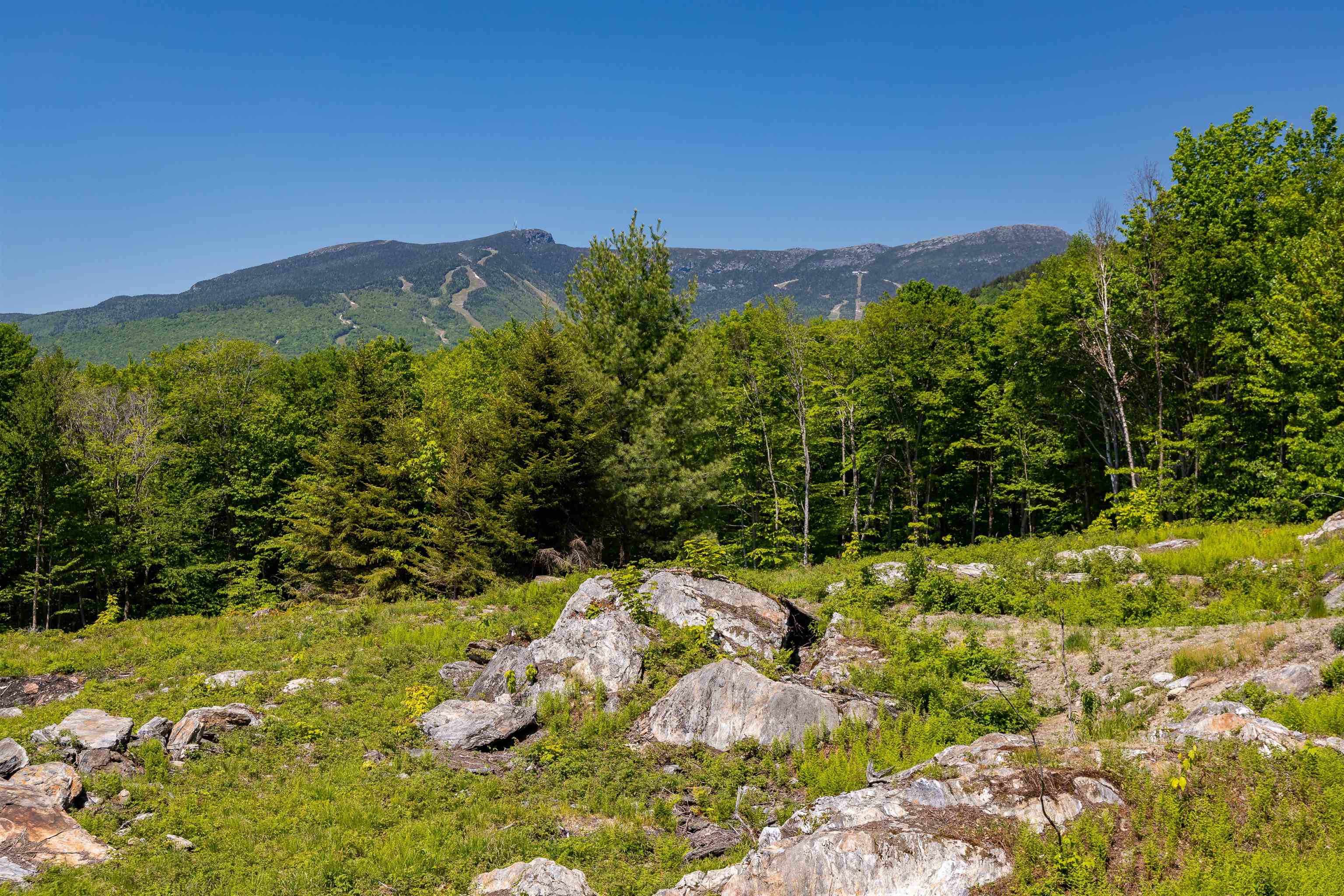 0 Wade Pasture Road Unit: 89