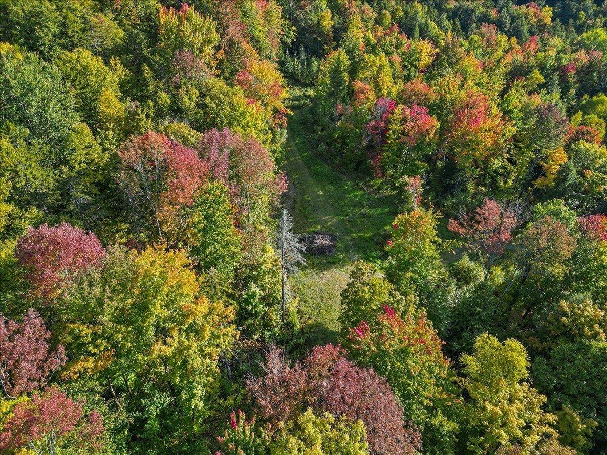 00 Bear Creek Lane