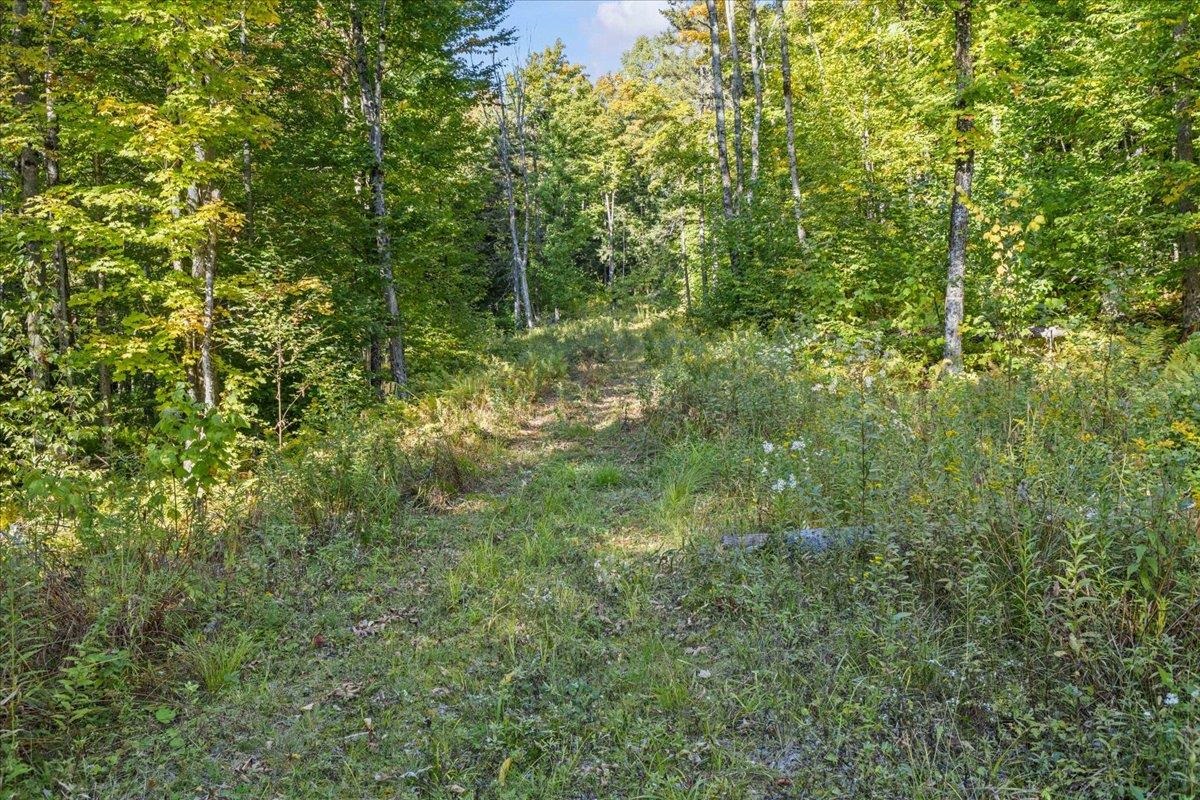 00 Bear Creek Lane