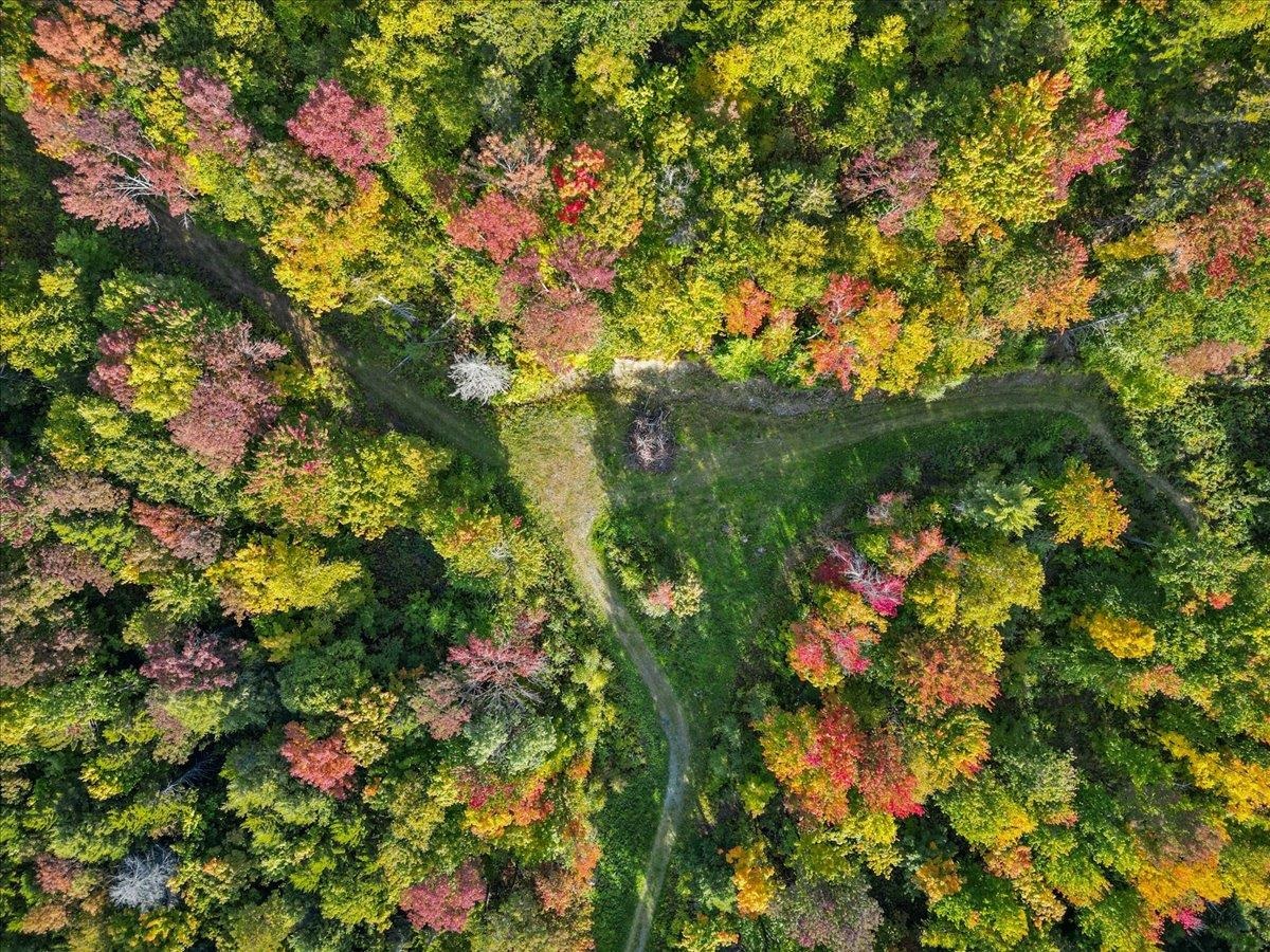 00 Bear Creek Lane