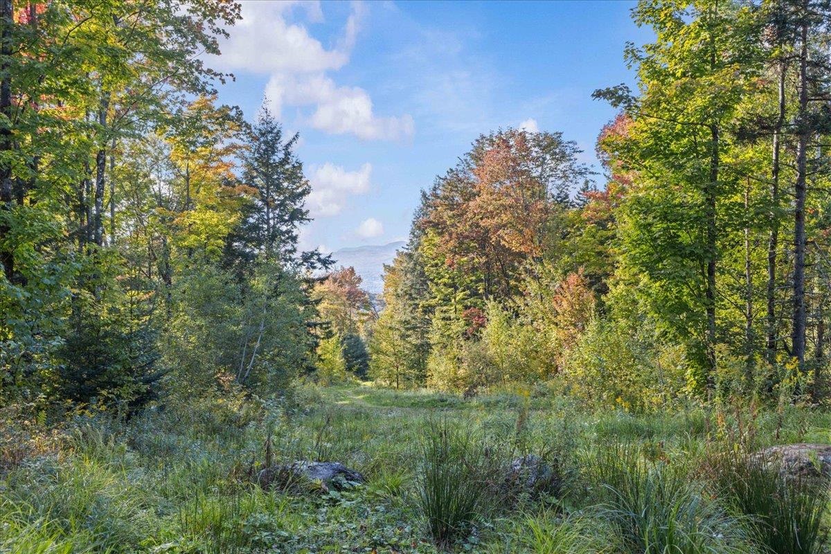 00 Bear Creek Lane