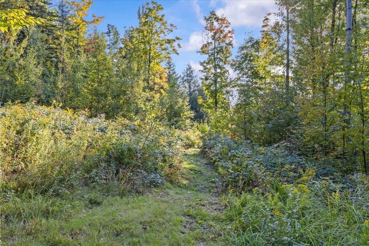 00 Bear Creek Lane
