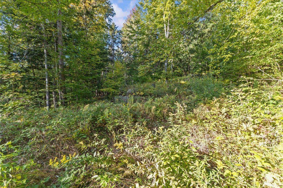 00 Bear Creek Lane