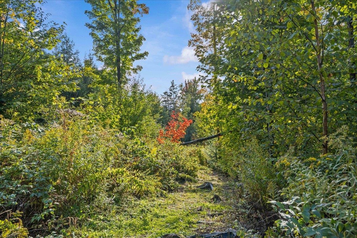 00 Bear Creek Lane