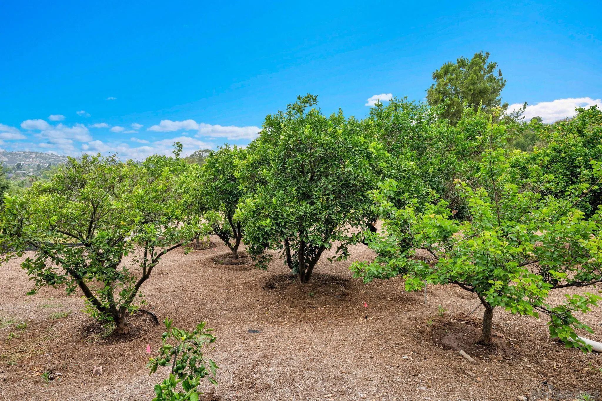 4360 Helix Canyon Dr