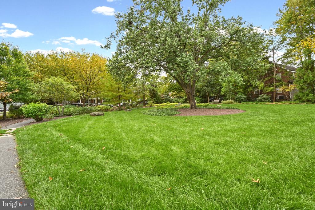 4600 CONNECTICUT AVENUE NW Unit: 222