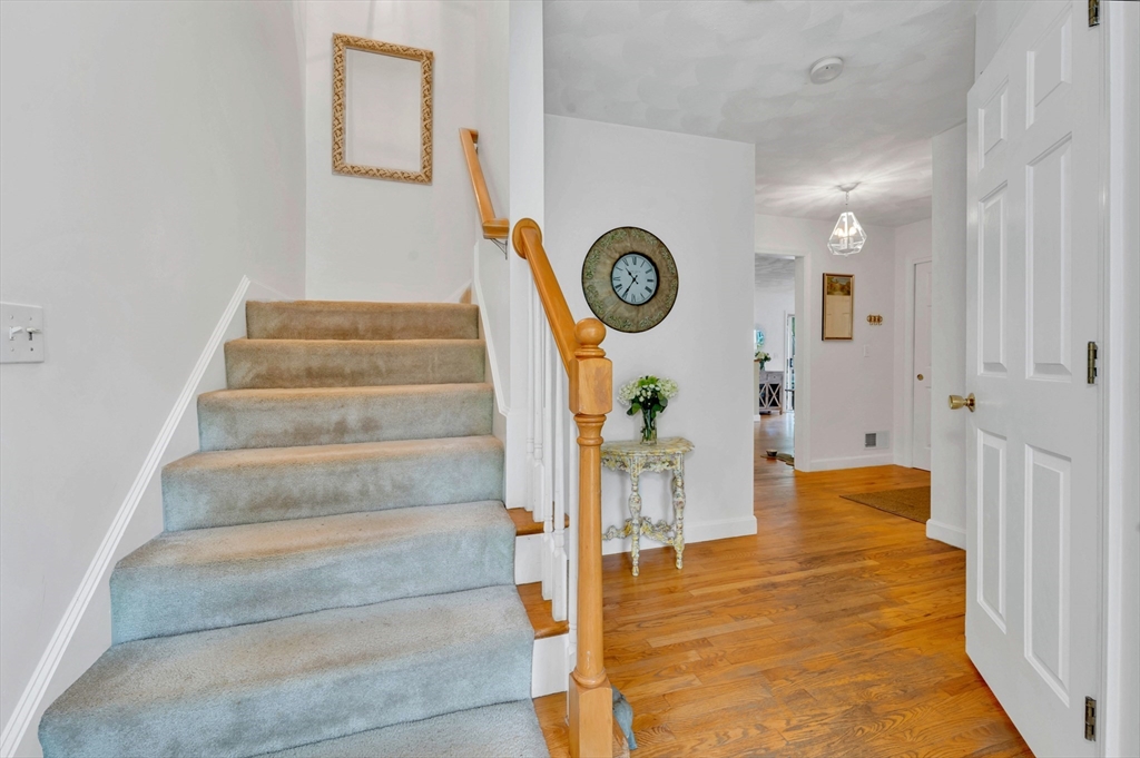8 Frances Dr