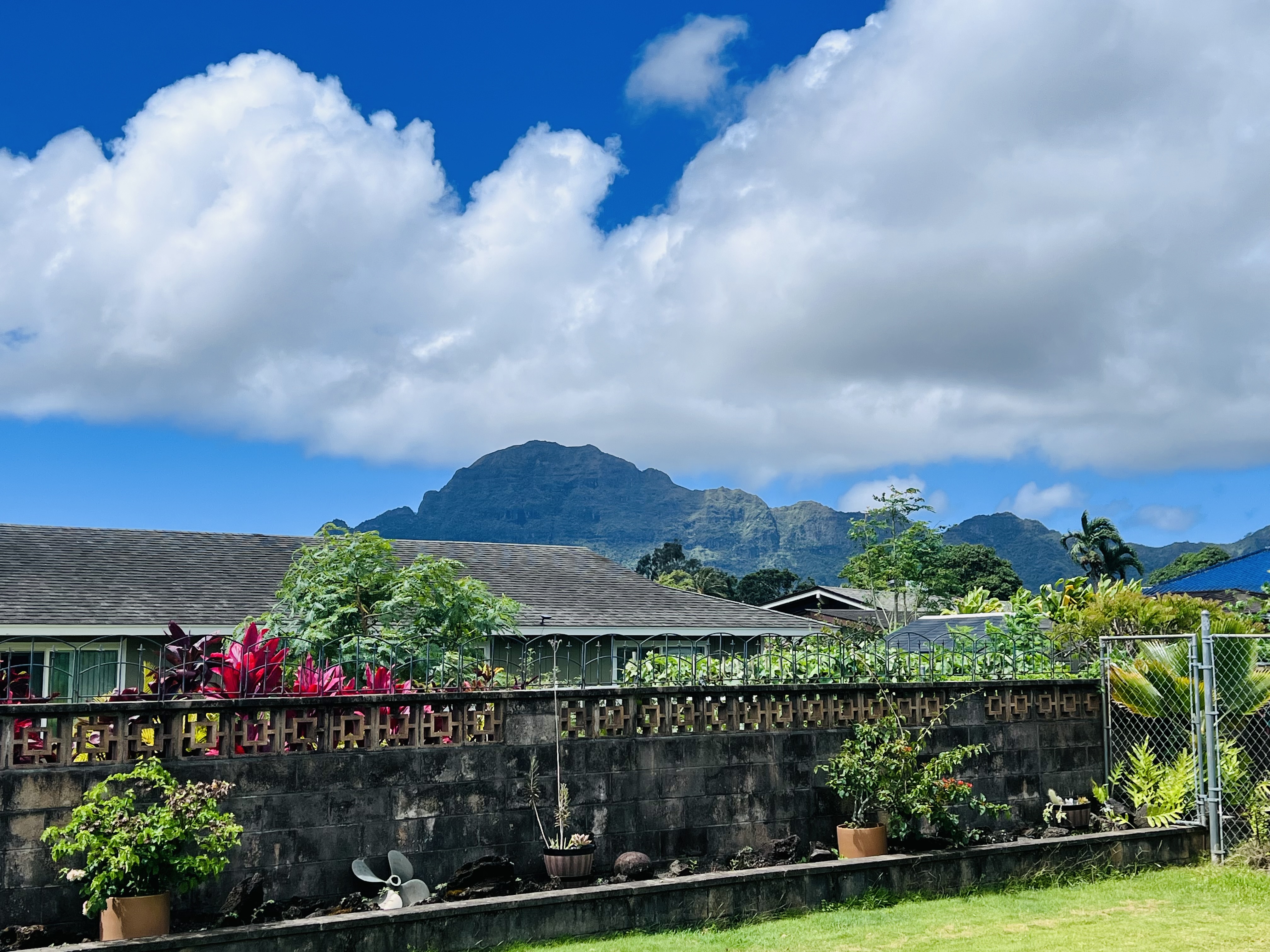4437 ANONUI ST