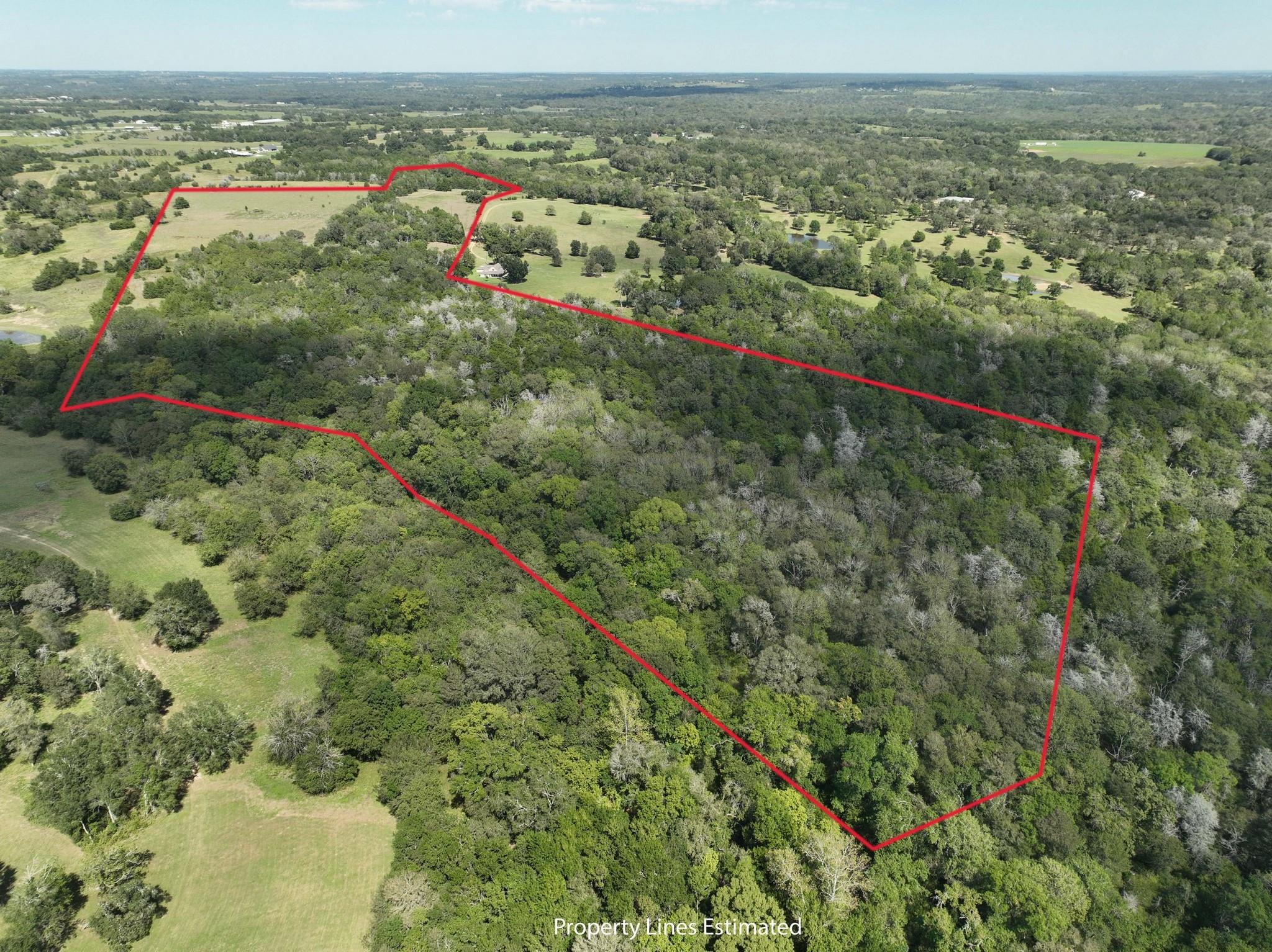 Aerial view of a wooded property outlined in red, with open grassland and a small house.