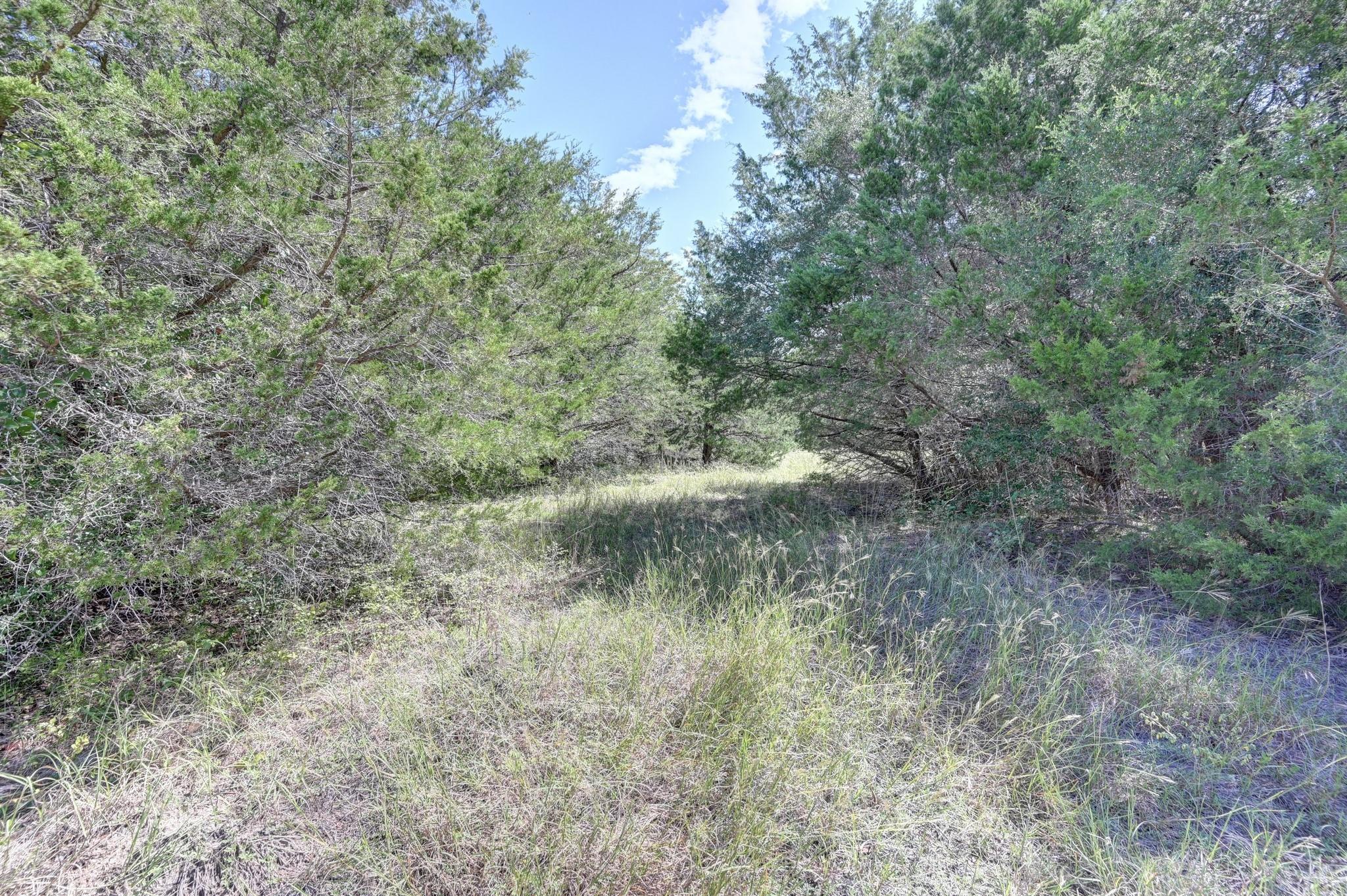 Wooded property with a grassy clearing surrounded by mature trees.