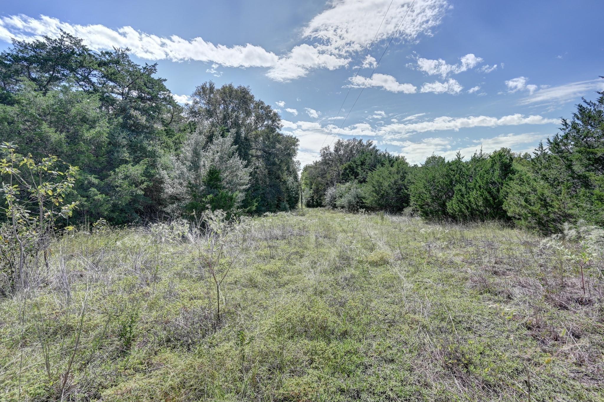 Grassy clearing bordered by dense trees, with utility lines overhead.