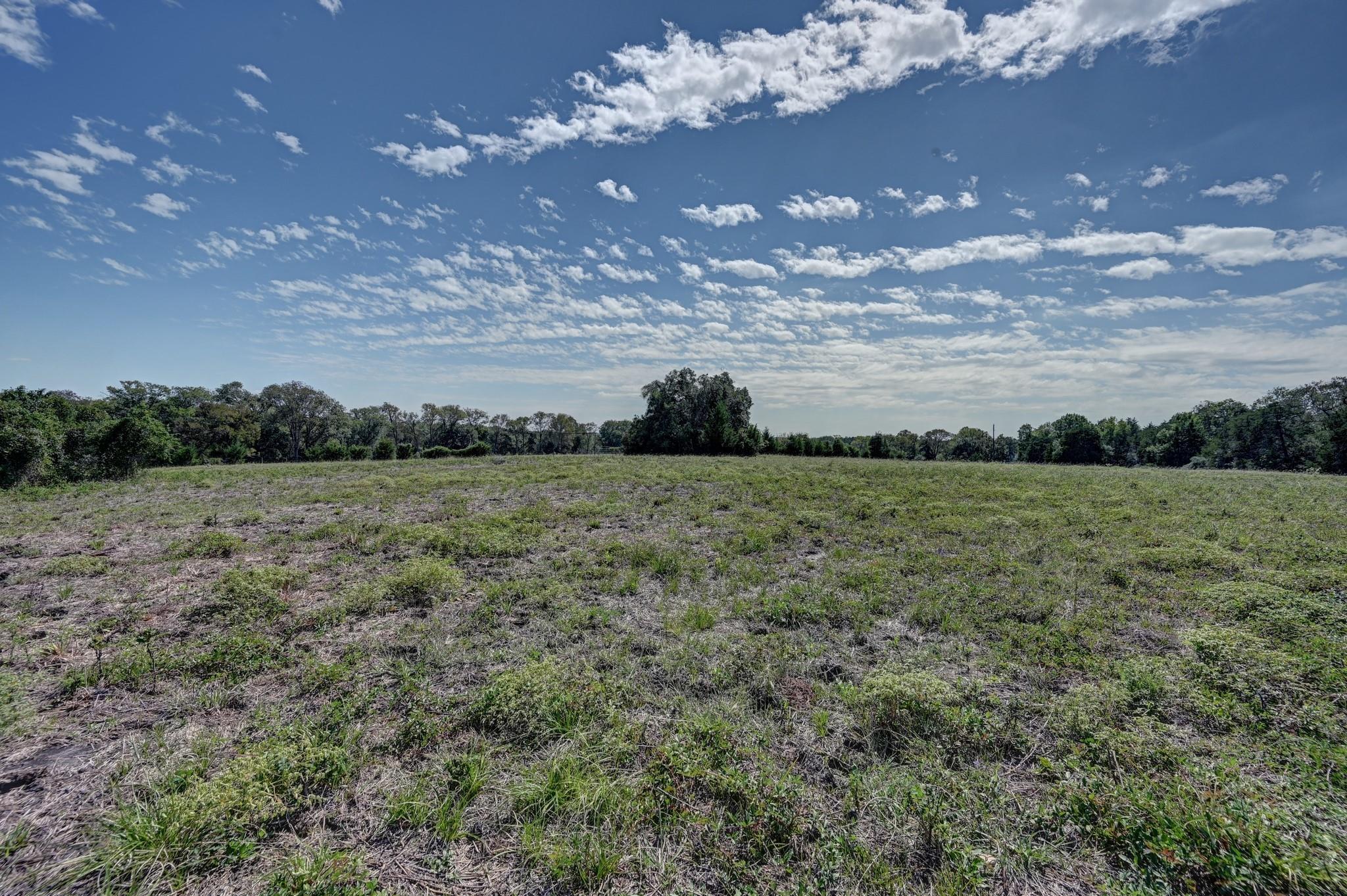 Open grassy land stretches toward a distant tree line beneath a blue, cloud-filled sky.