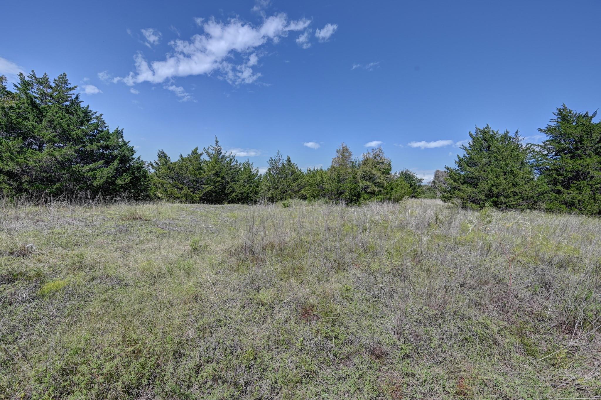 Open grassy field bordered by evergreen trees beneath a blue, cloud-dotted sky.