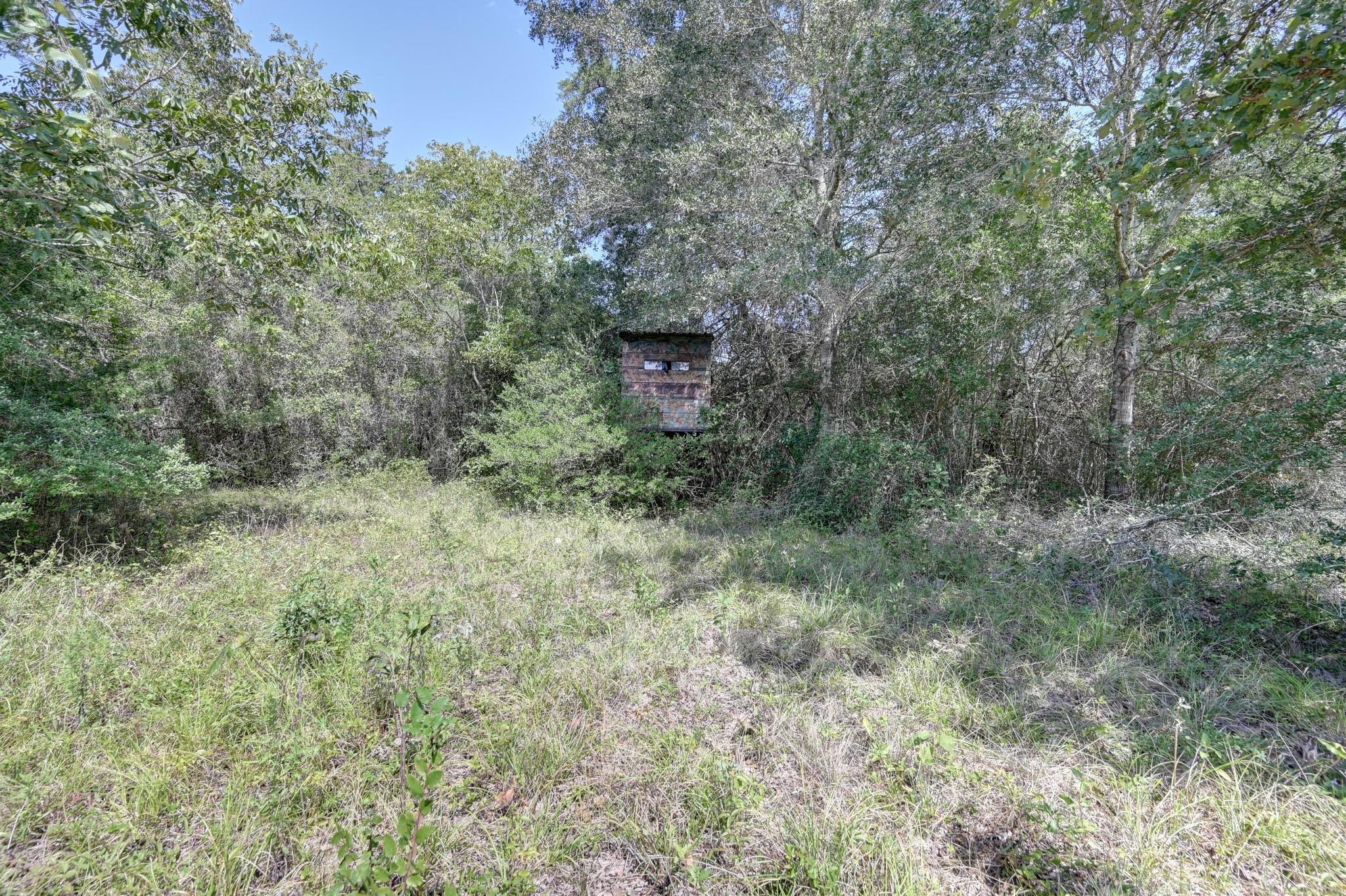 Wooded property with a grassy clearing and a small weathered wooden structure among the trees.