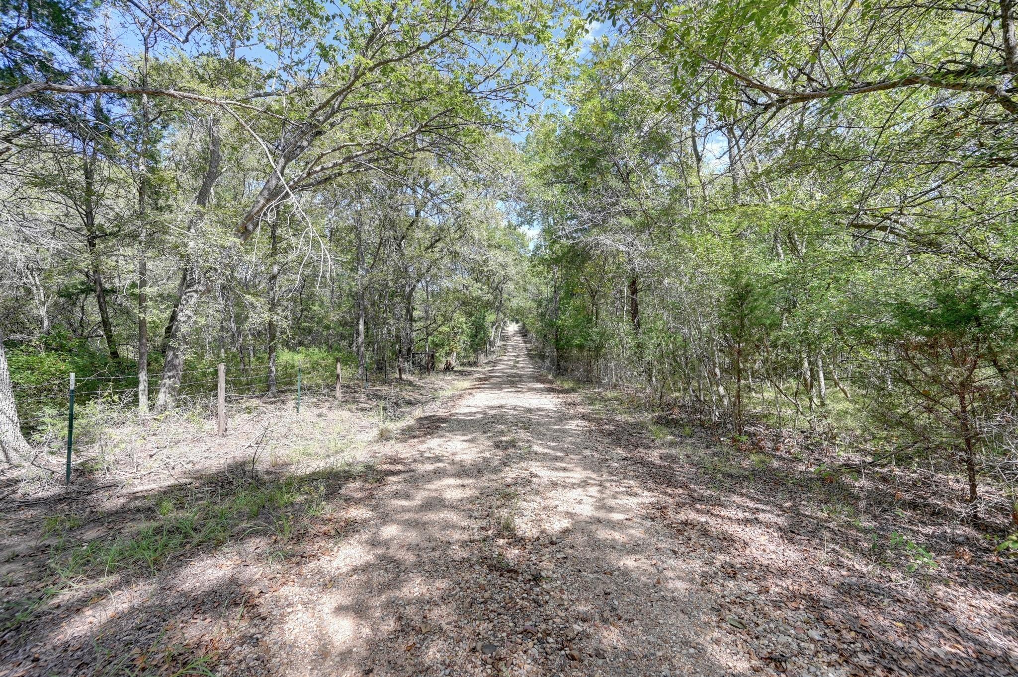 Gravel driveway winding beneath leafy trees, bordered by a wire fence.