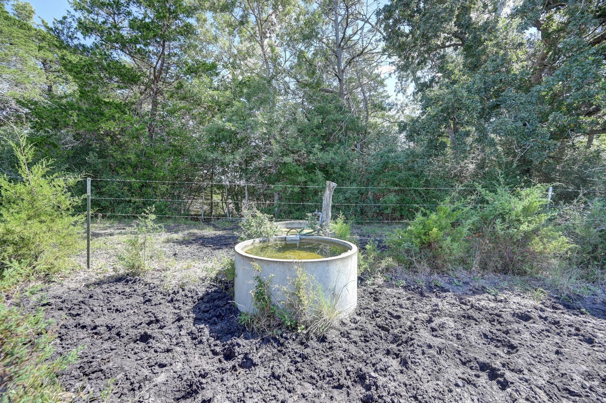Concrete livestock water trough in a muddy, fenced area bordered by dense trees.
