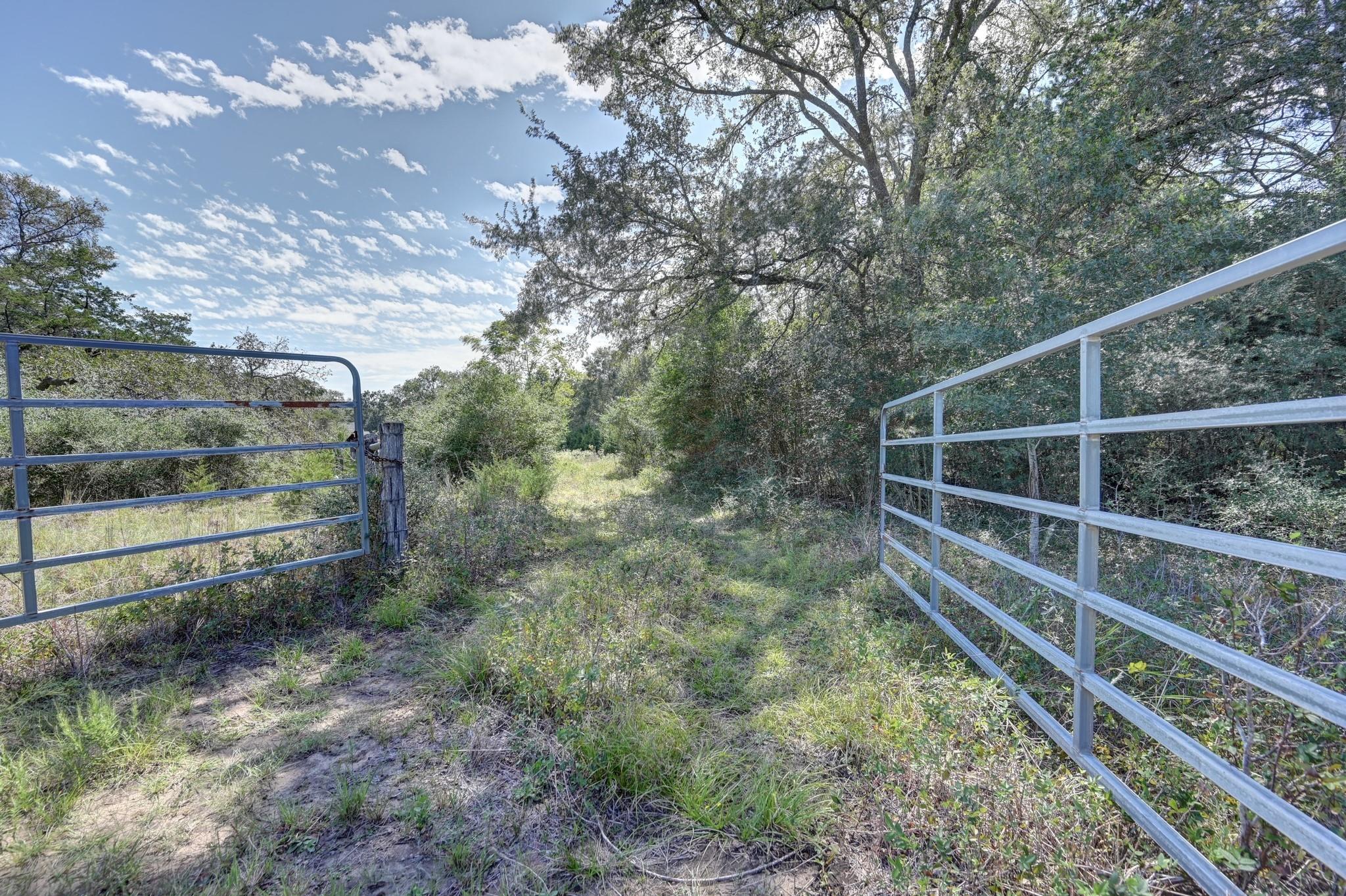Wooded property entrance with open metal gates framing a grassy dirt track.