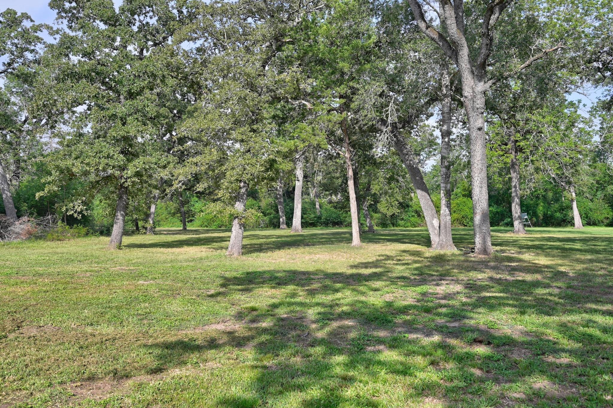 1689 Fm 1456 Road