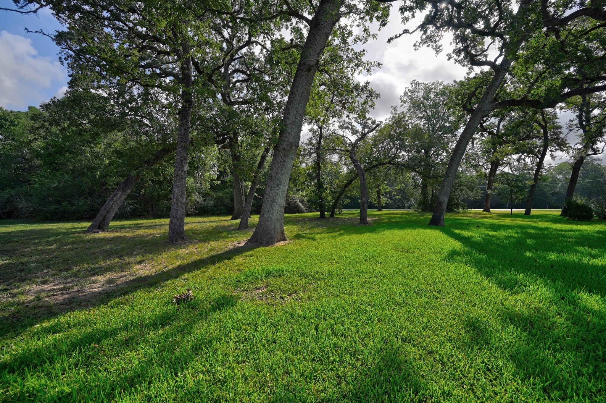 1689 Fm 1456 Road