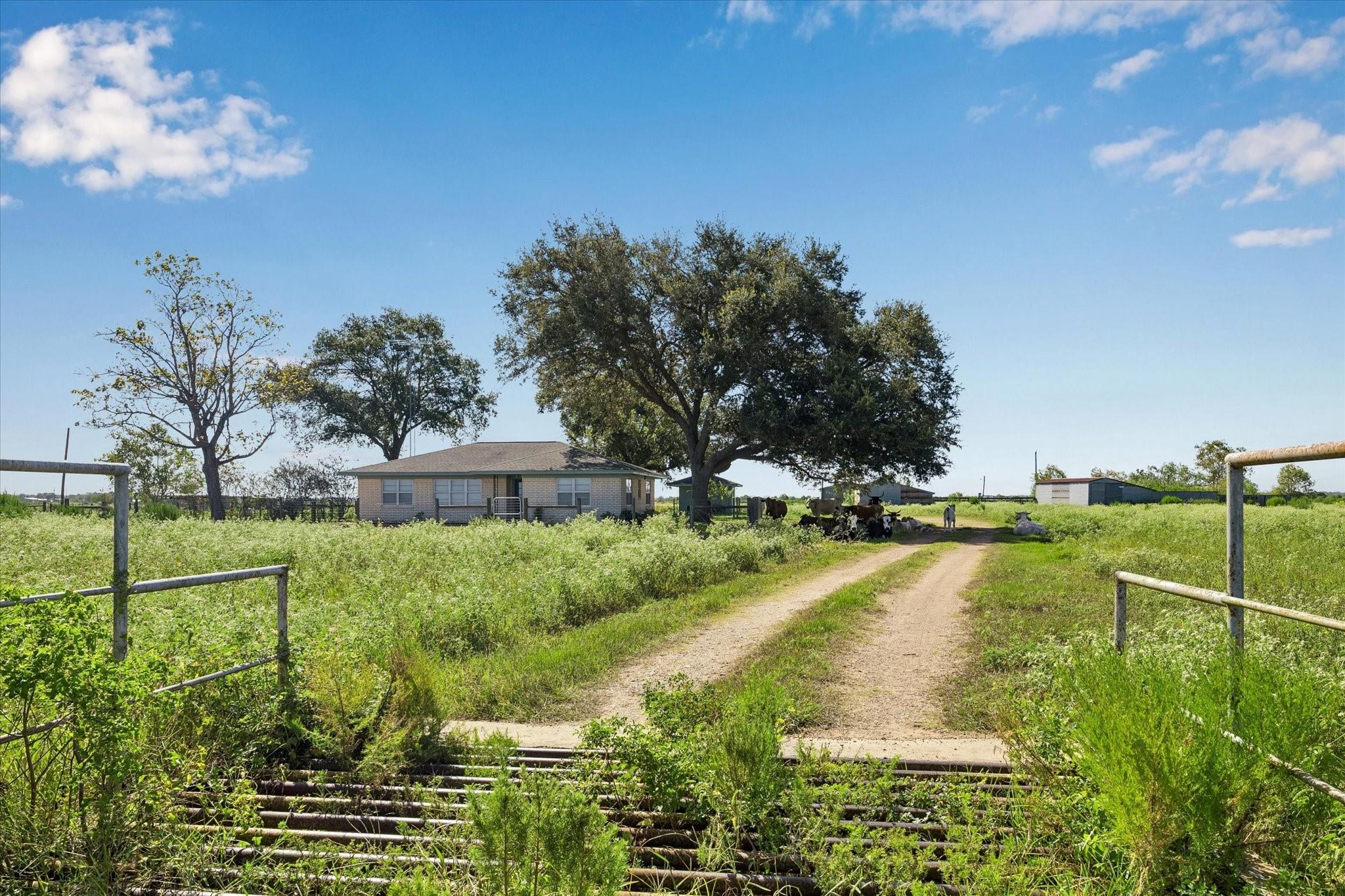 4107 Highway 159 E