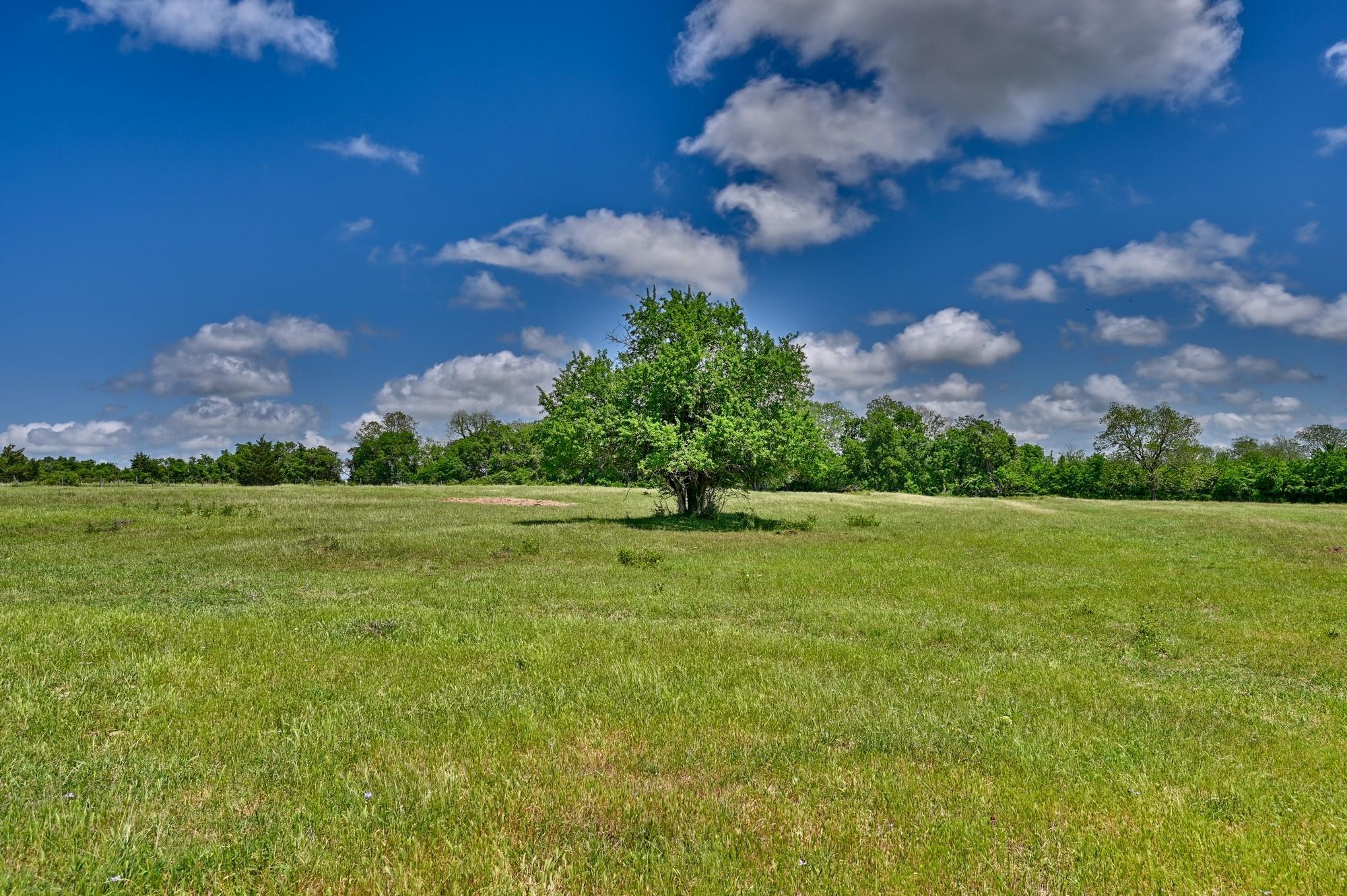 3644 Post Oak Point Road