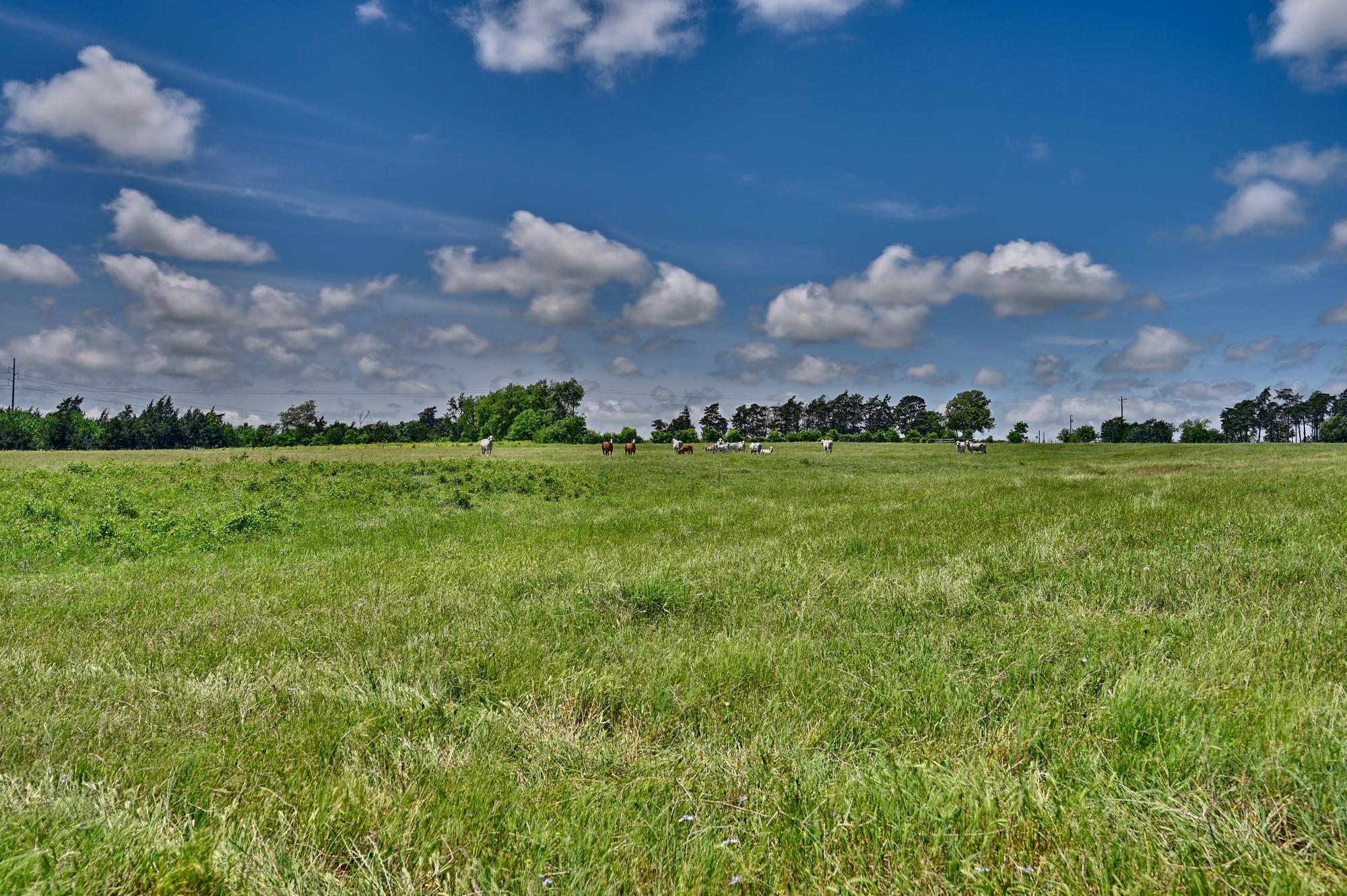 3644 Post Oak Point Road