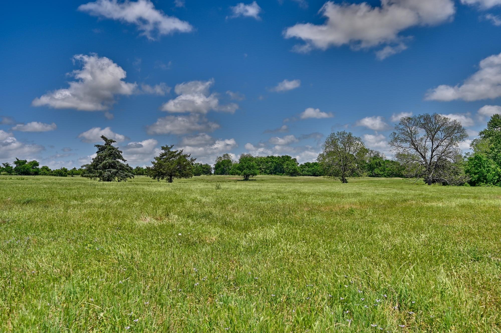 3644 Post Oak Point Road