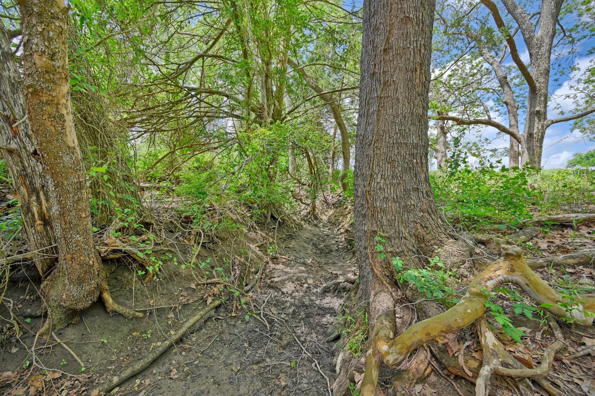 3644 Post Oak Point Road