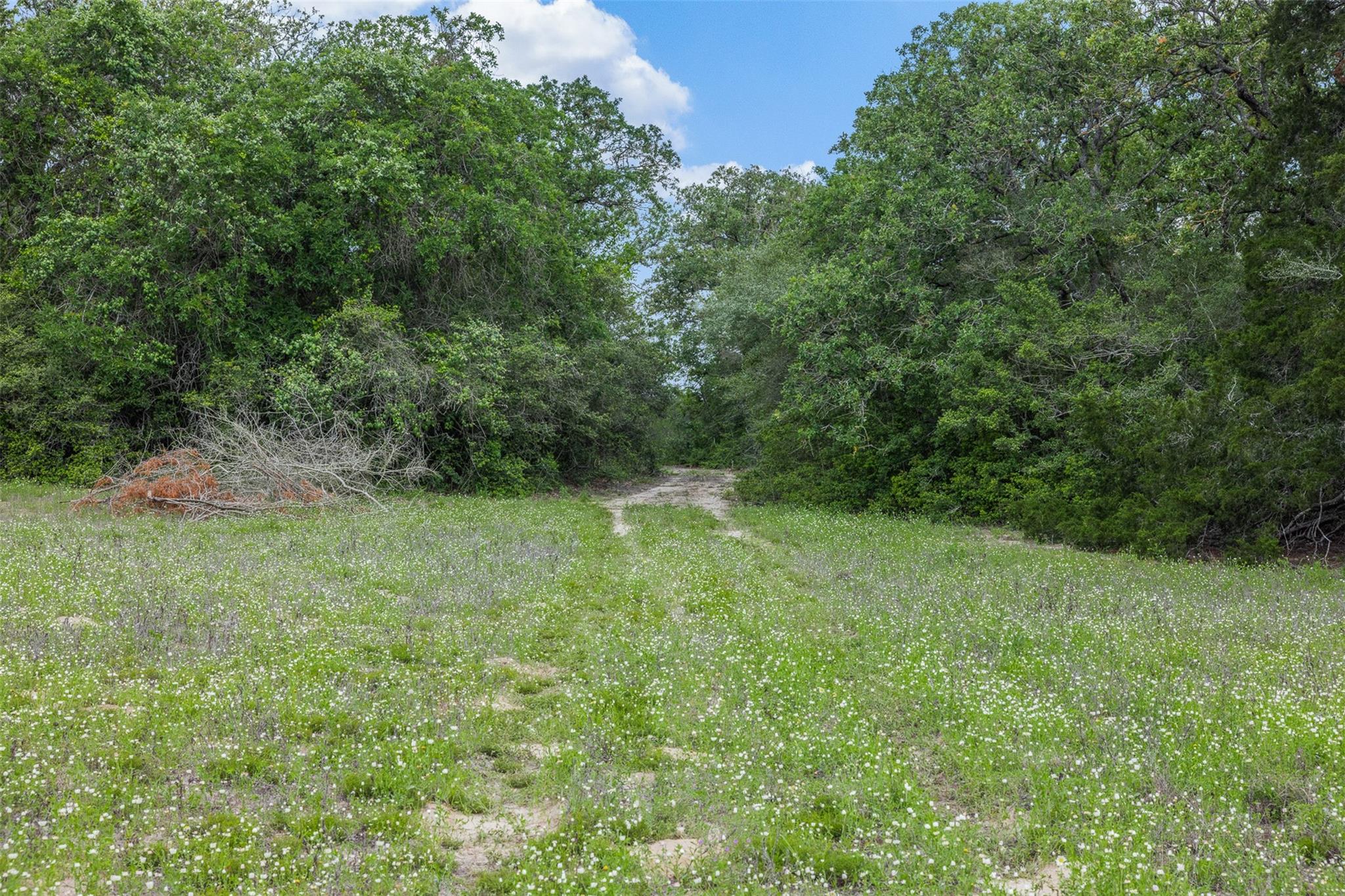 622 Red Rock Ranch Road