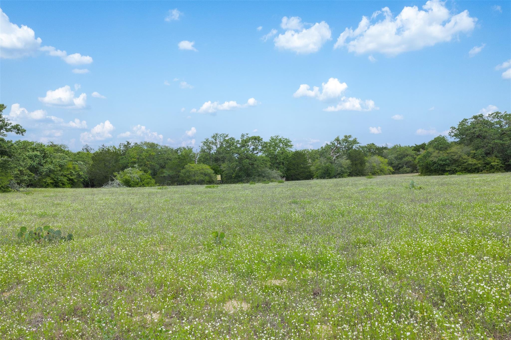622 Red Rock Ranch Road
