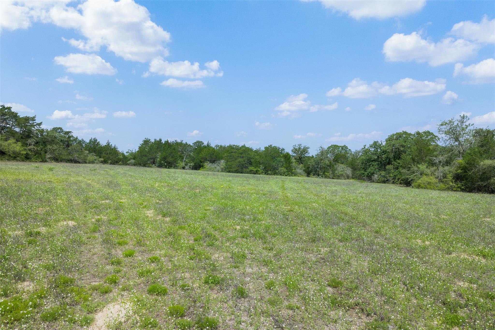 622 Red Rock Ranch Road