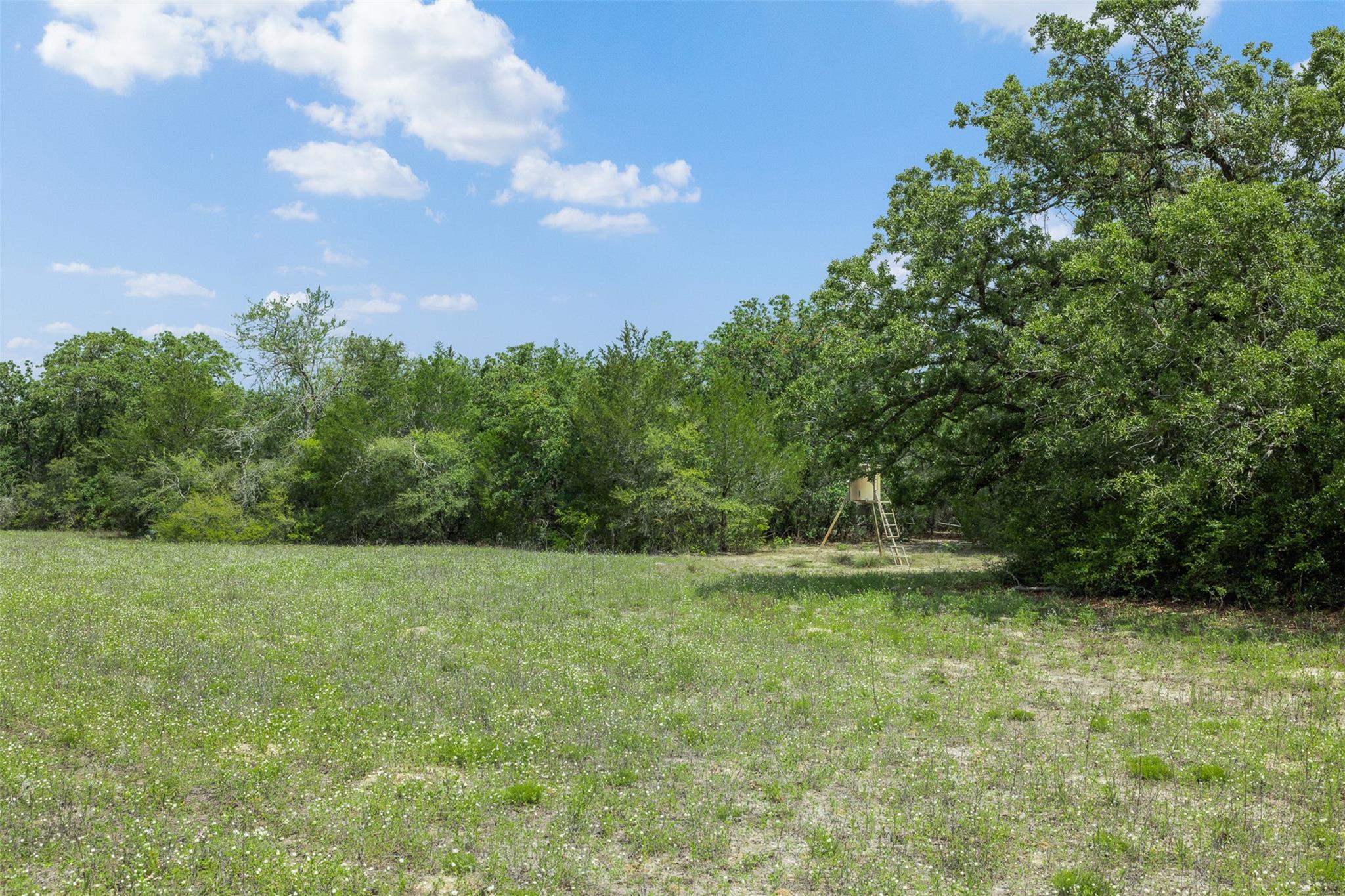 622 Red Rock Ranch Road