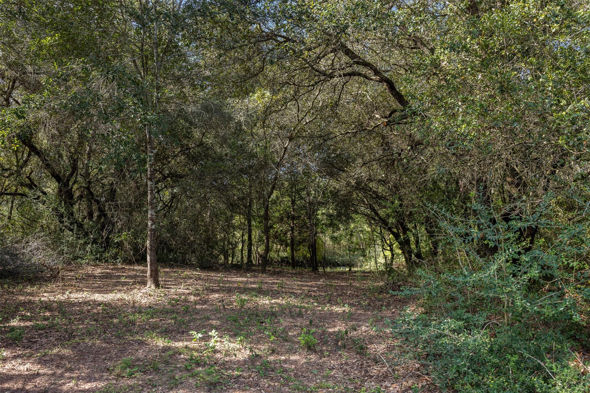 8189 Milton Road