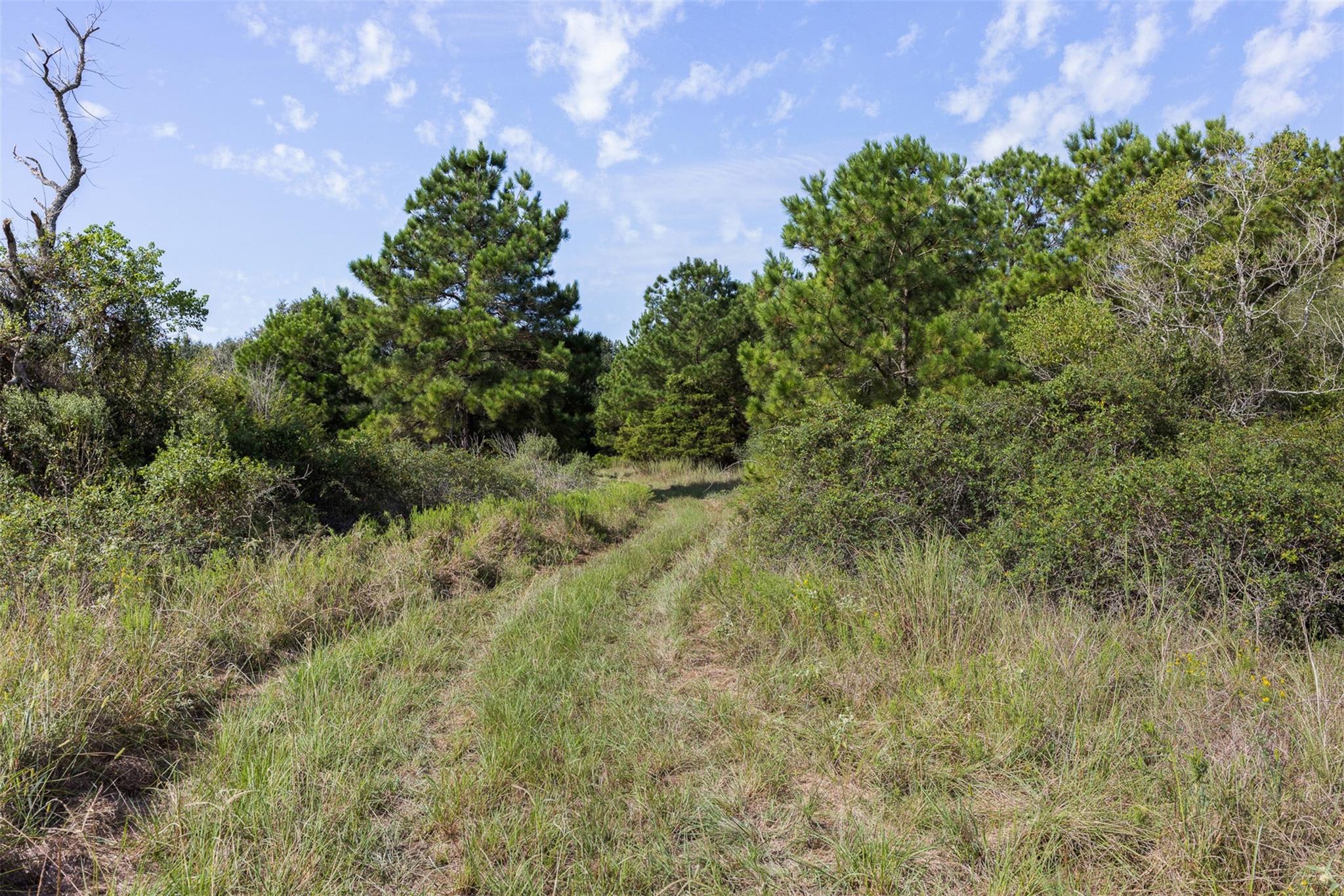 8189 Milton Road
