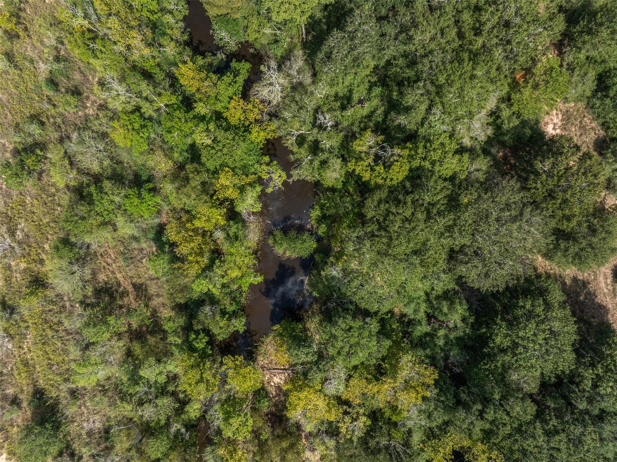 8189 Milton Road