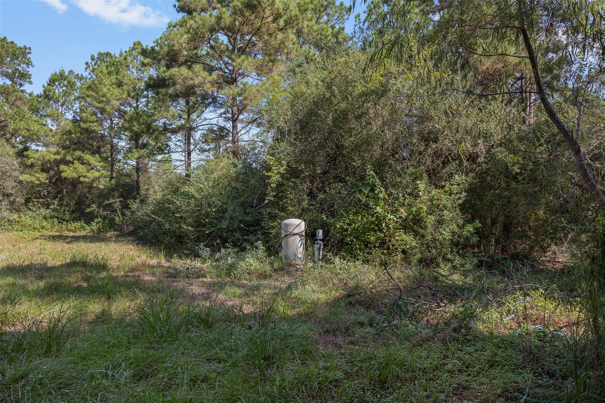 8189 Milton Road
